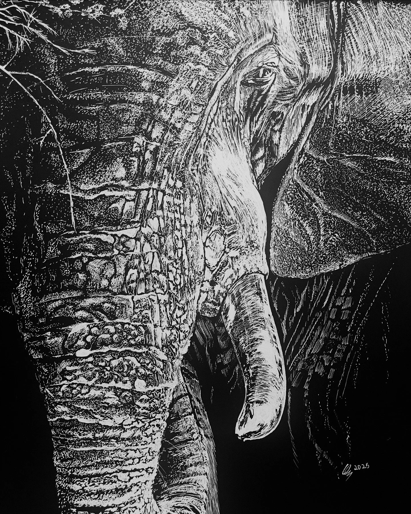 136599701_a5de56e5cbde4021a1ff5eefab78abd5__white_elephant.jpg