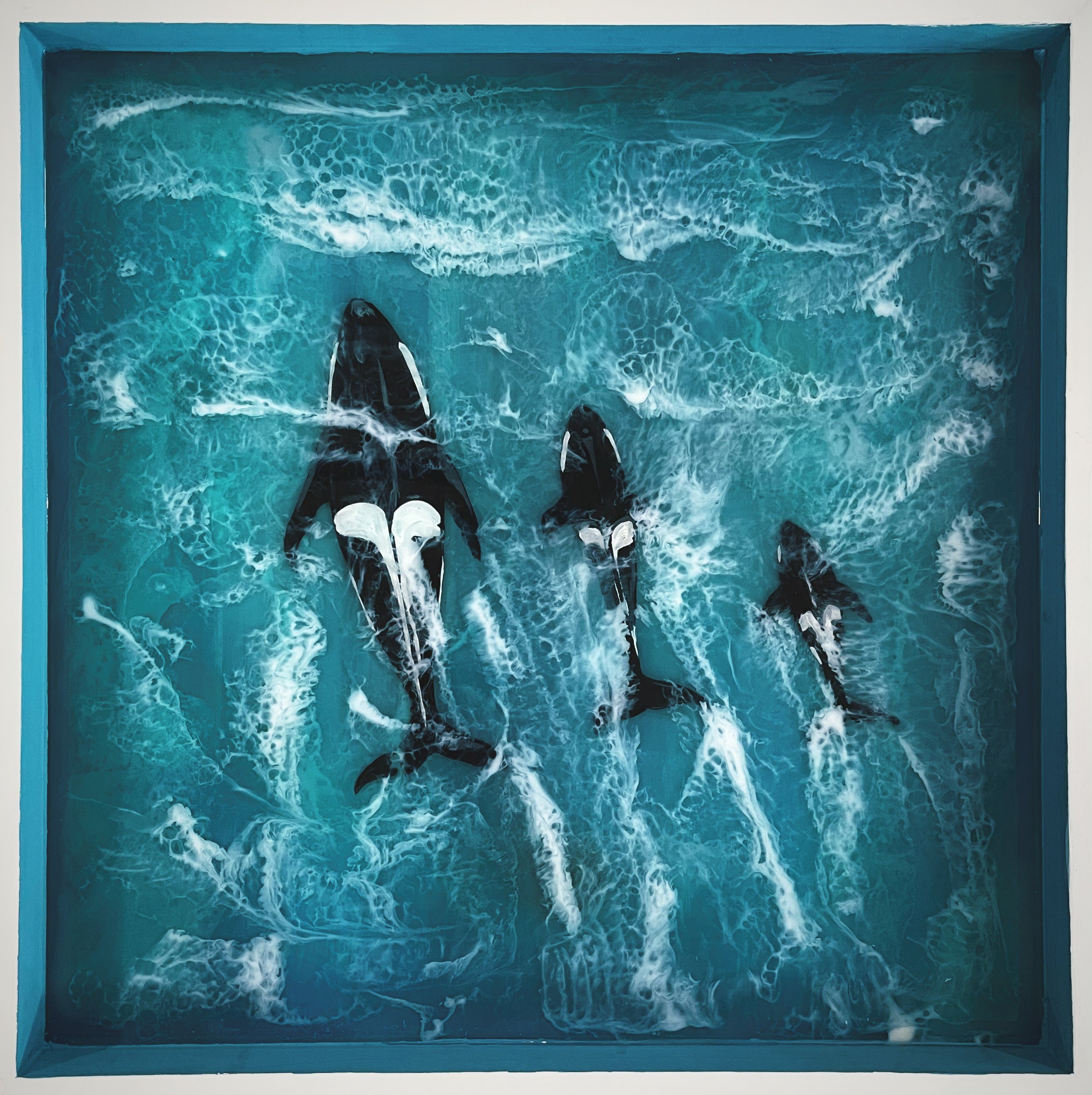 136599708_989b956c73f946ae9dc632c412627a13__orca_family.jpg