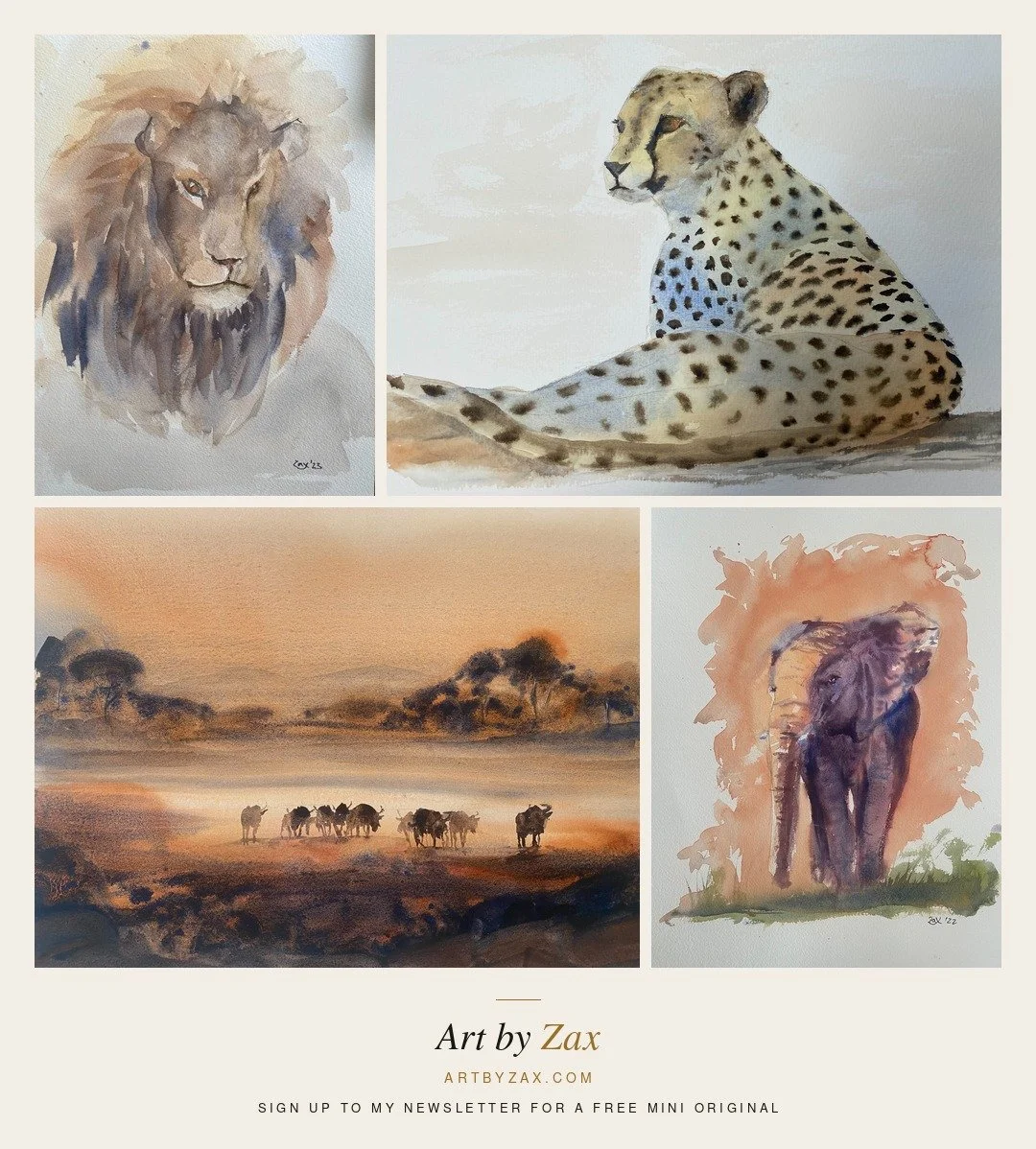  South Africa Collage