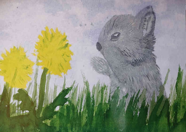  Spring Life