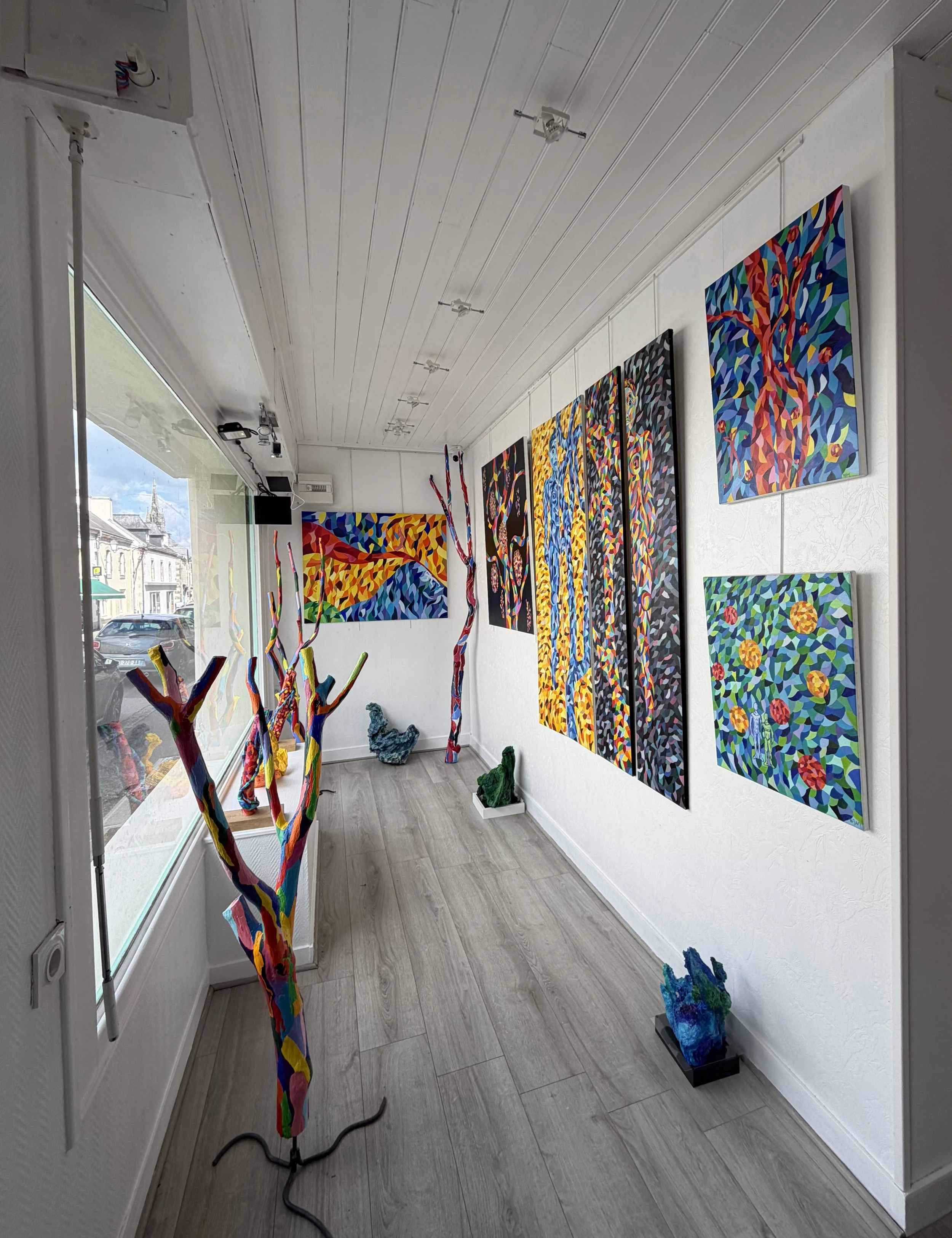 exposition de mes oeuvres Glaz Galerie 1.jpeg