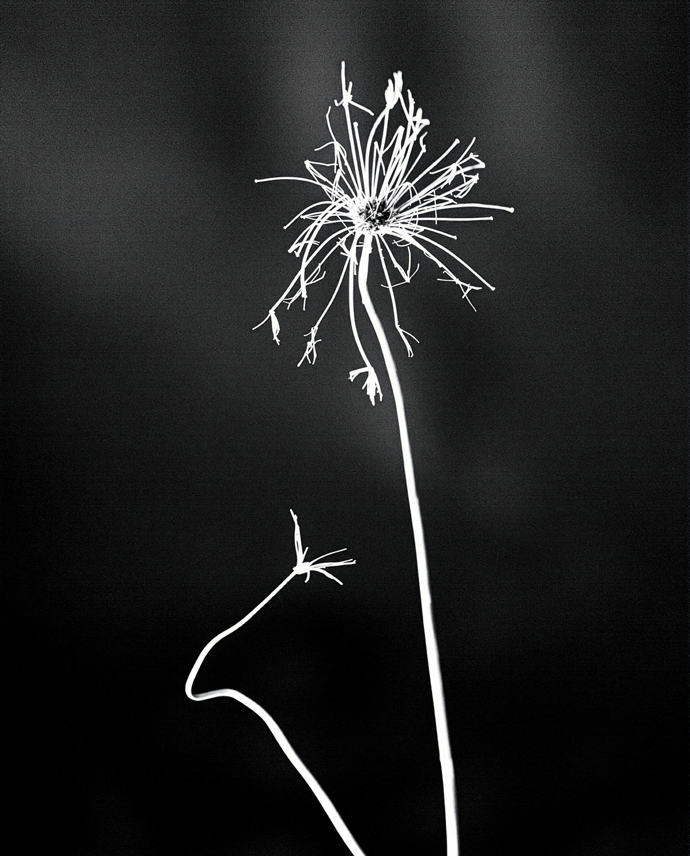 3. Growing Up, Maartje Martisan, Neverending end.jpg