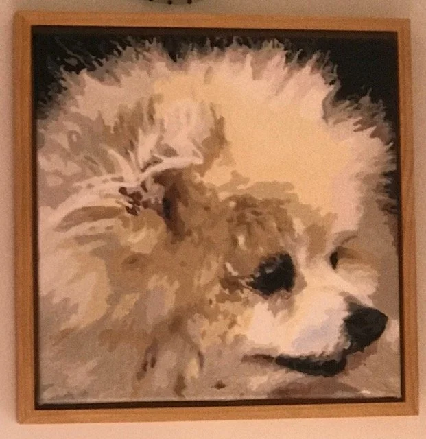 image1 (1).jpeg