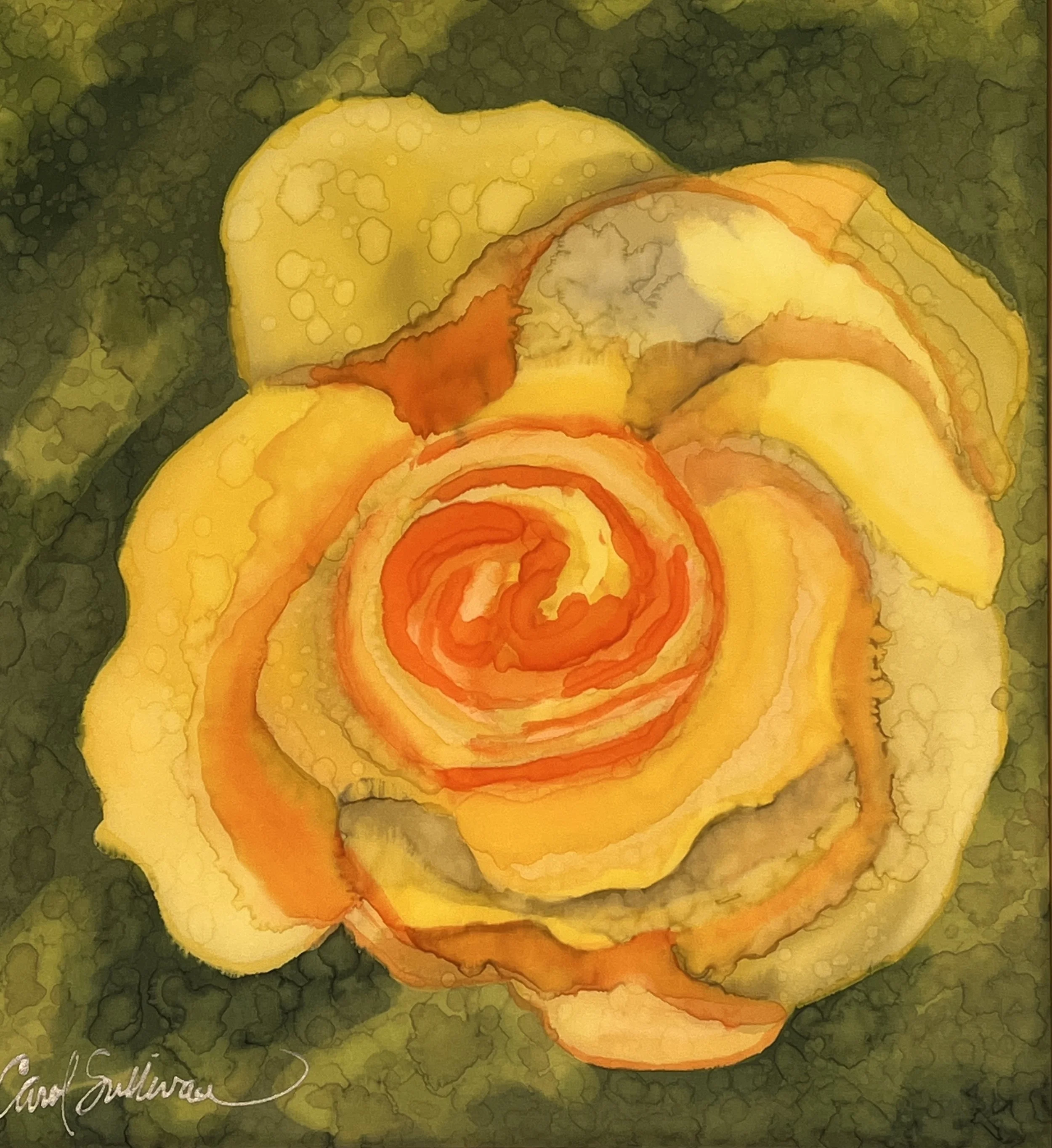  Lindsay’s Yellow Rose