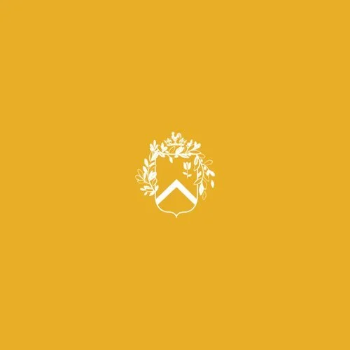 Artist Profile