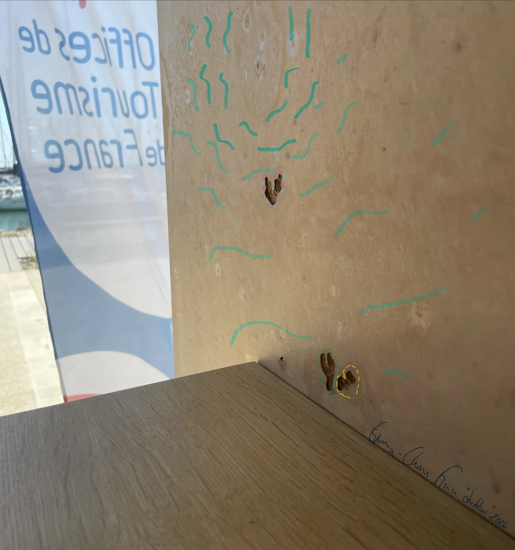 IMG_0335.jpeg