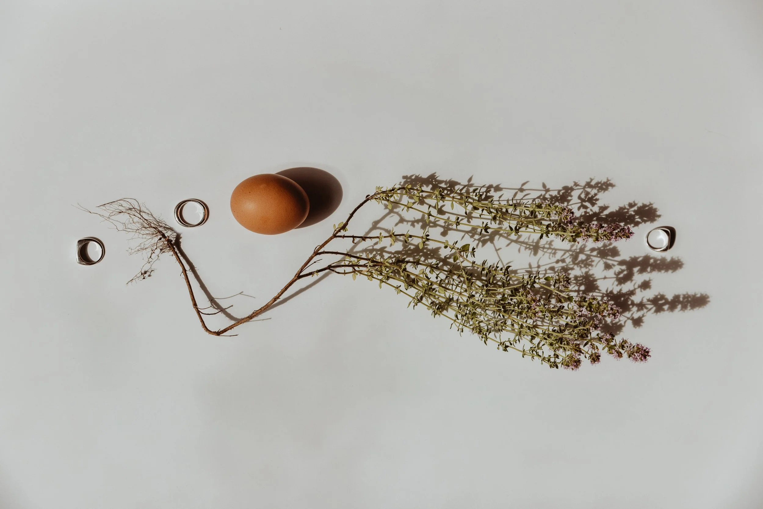 nature collection (8192×5464).jpg
