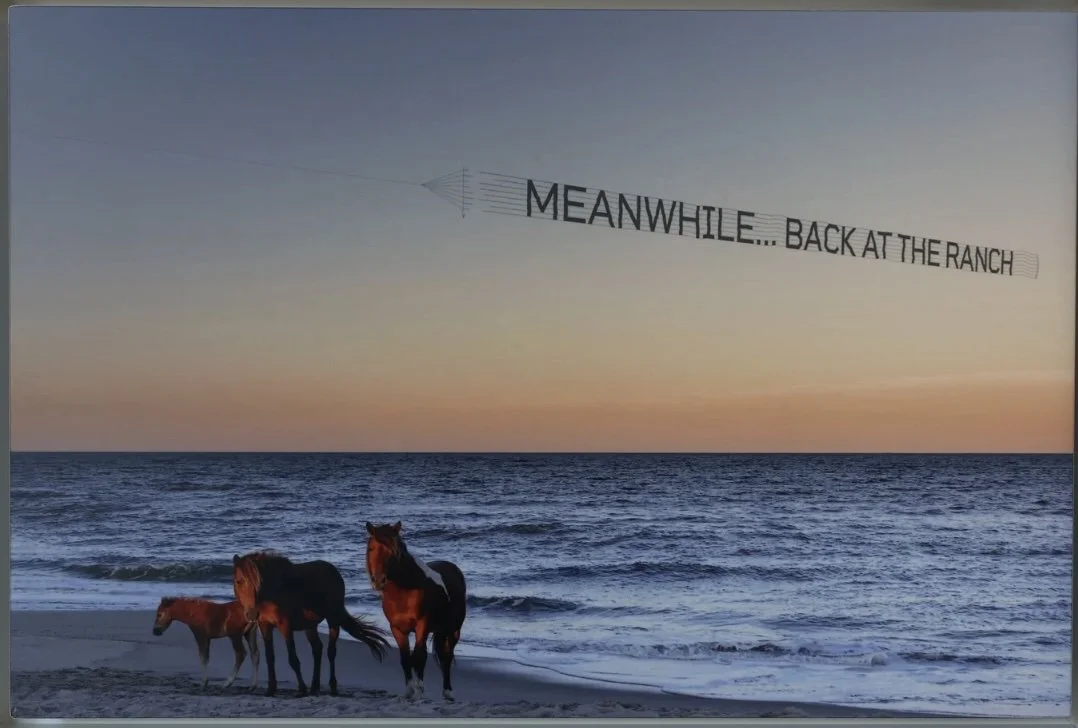 Meanwhile back at the ranch.jpg