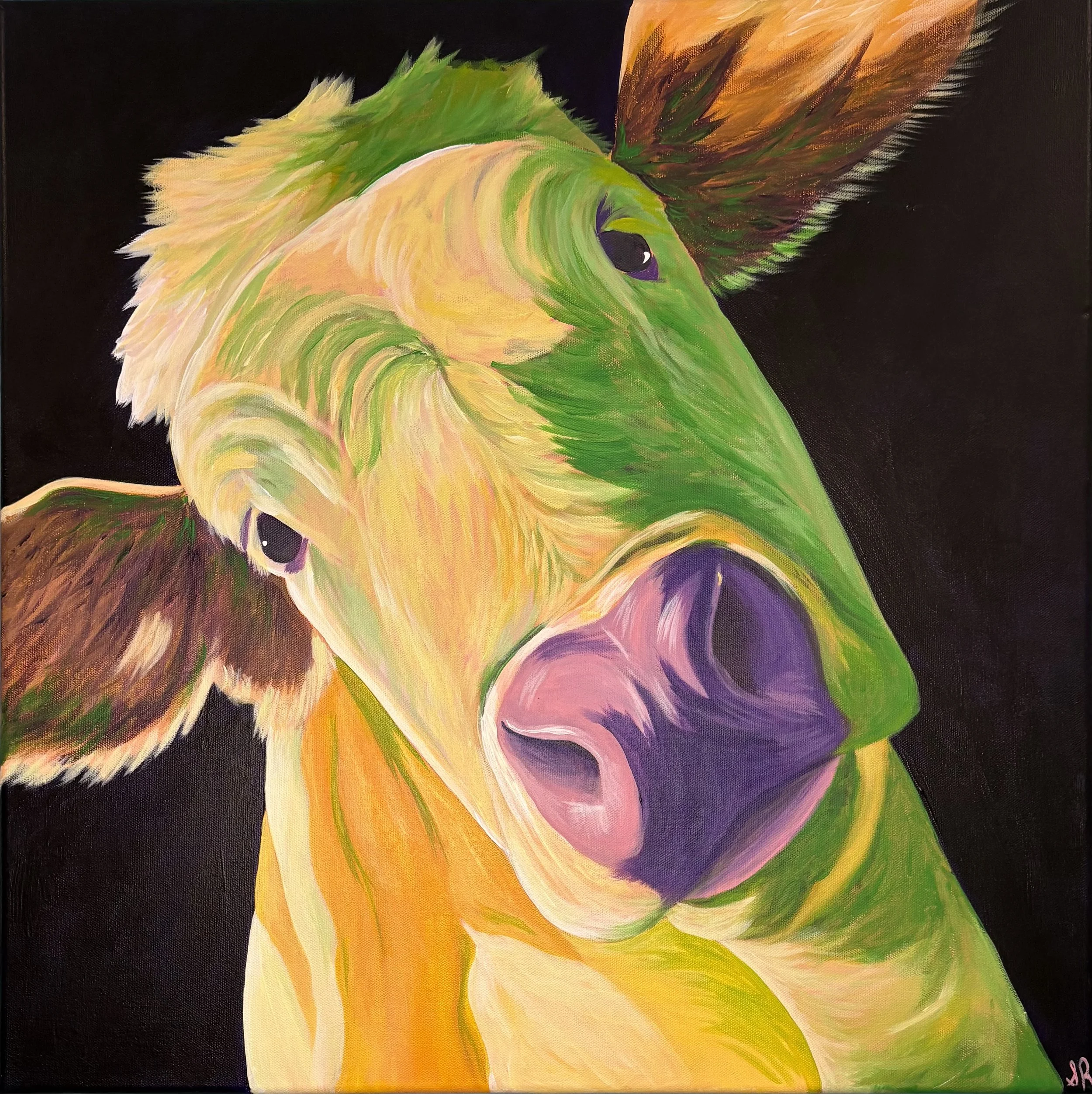 Cow in Contrast