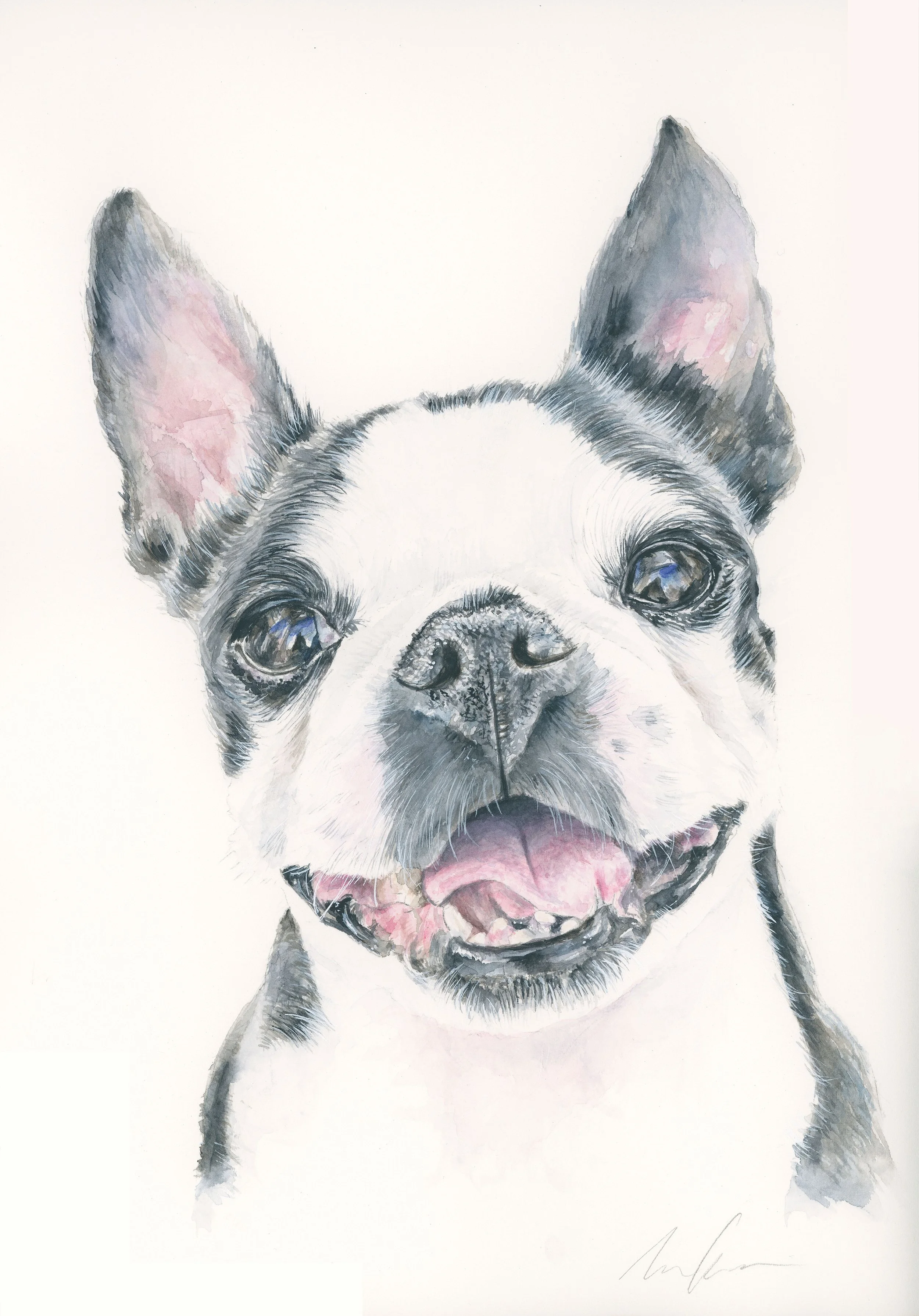 Lola for PrintClean.jpg