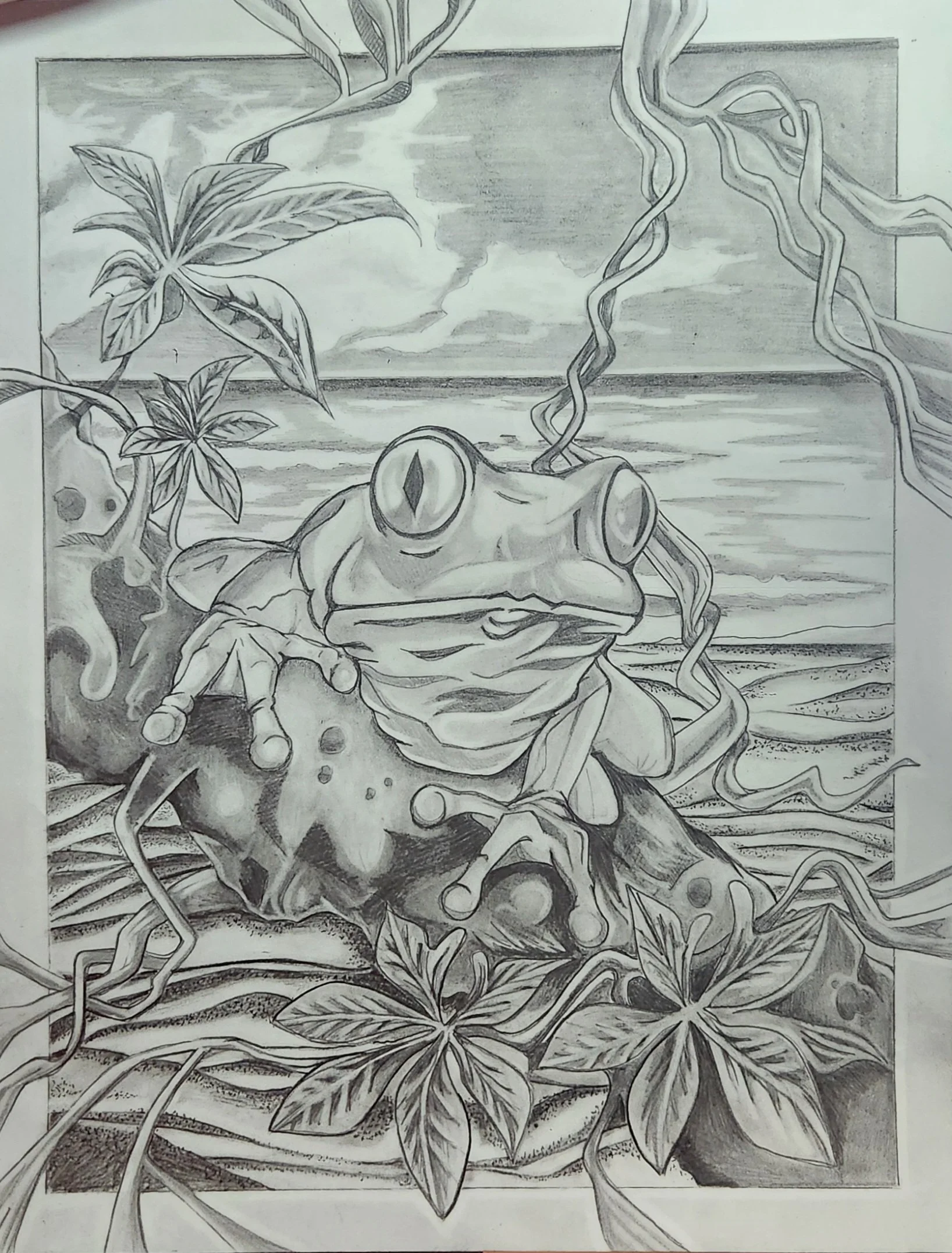  El Coqui