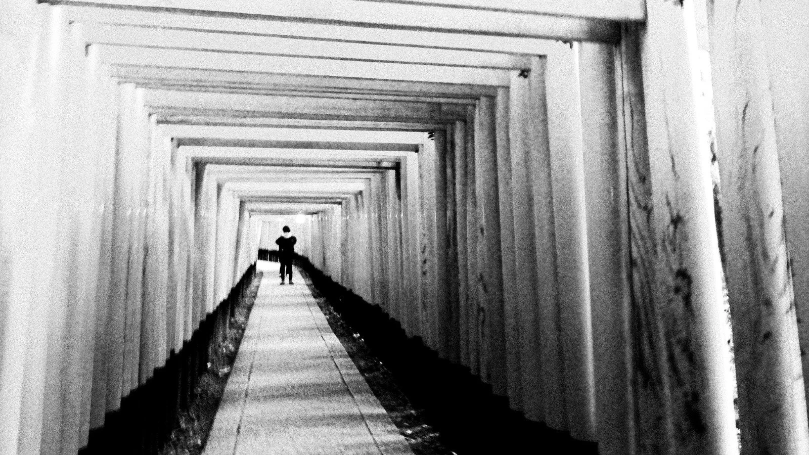  Present Absence