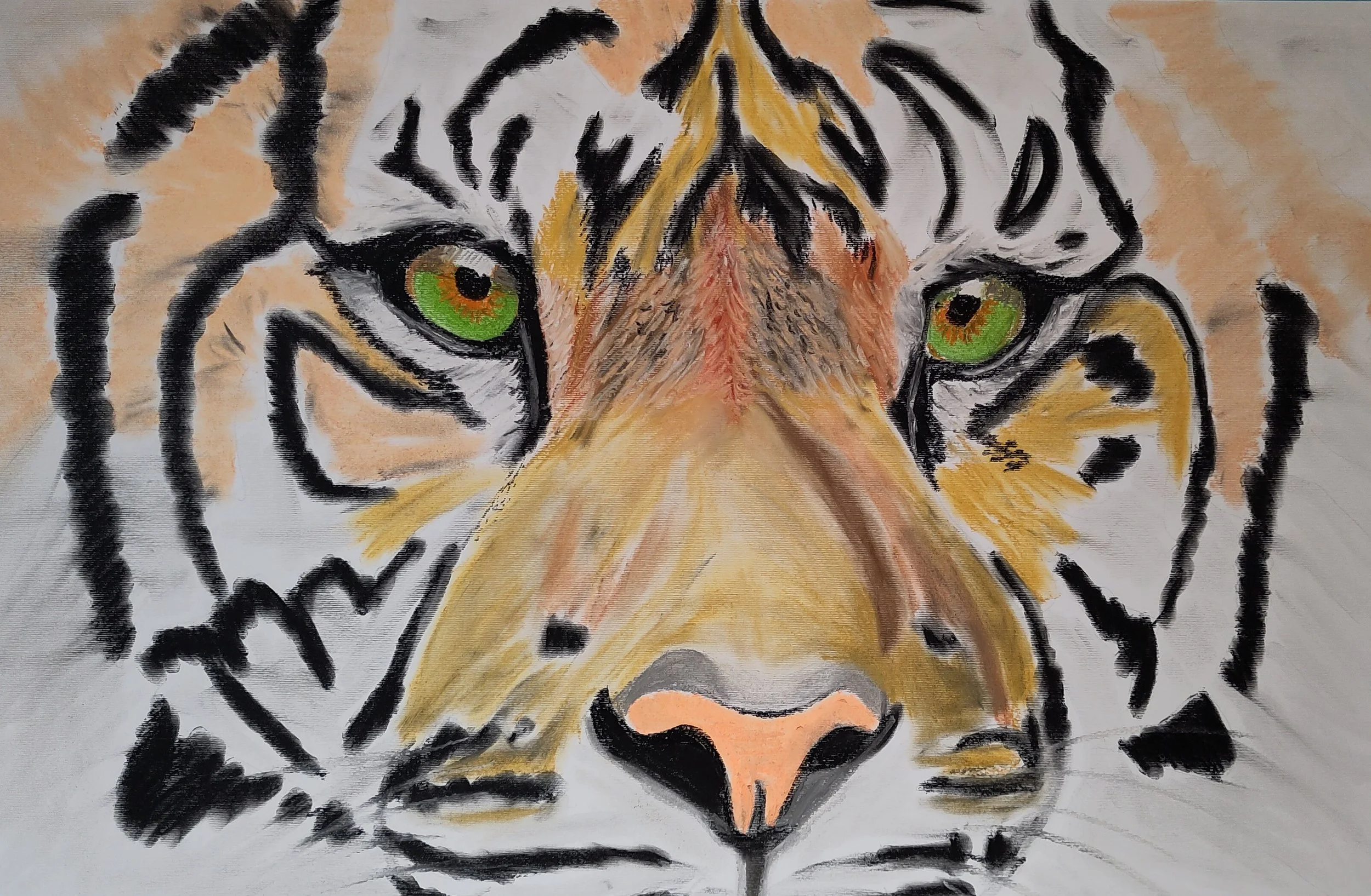 Tiger as a Power Animal