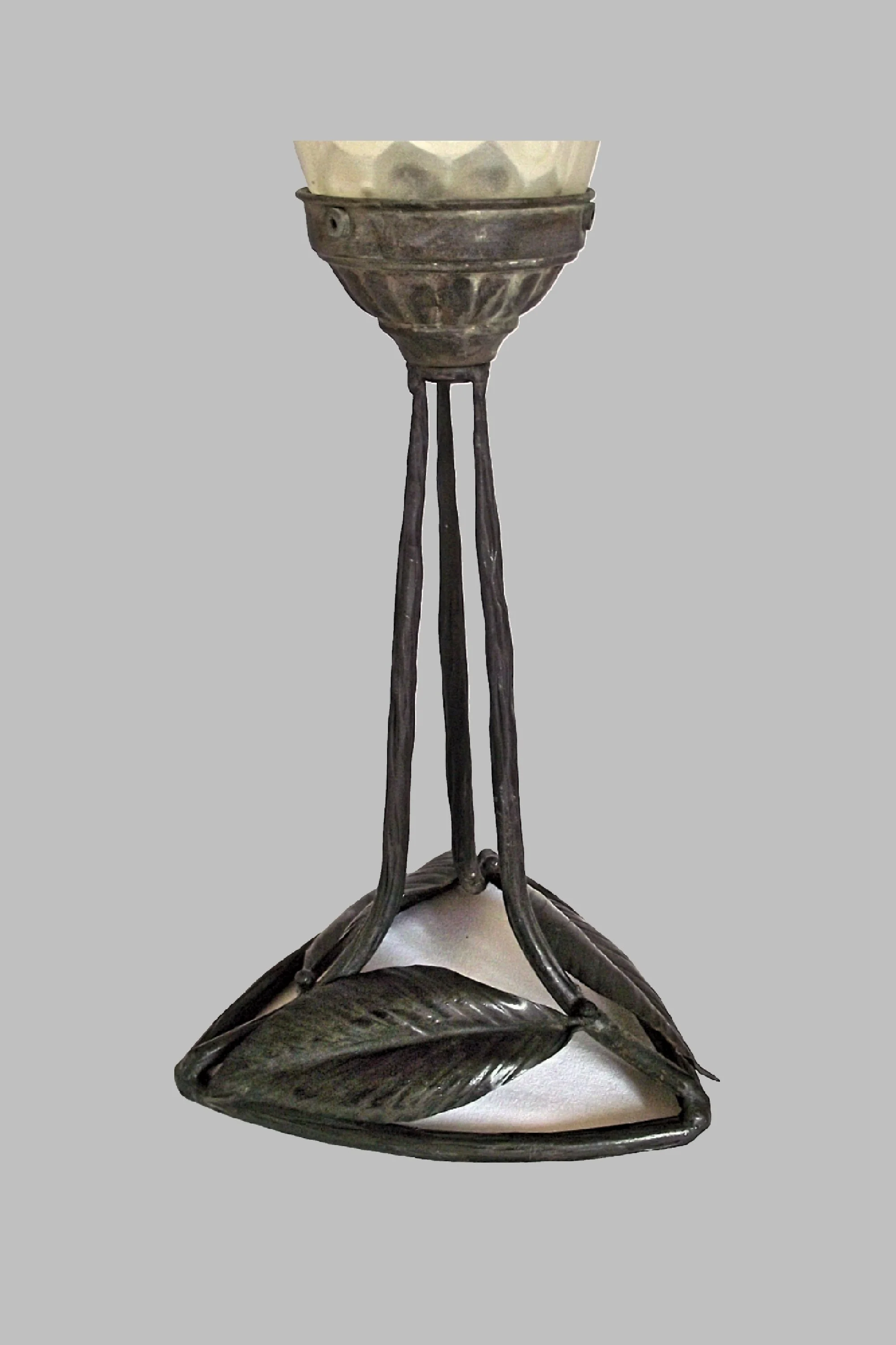2889c2g.jpg