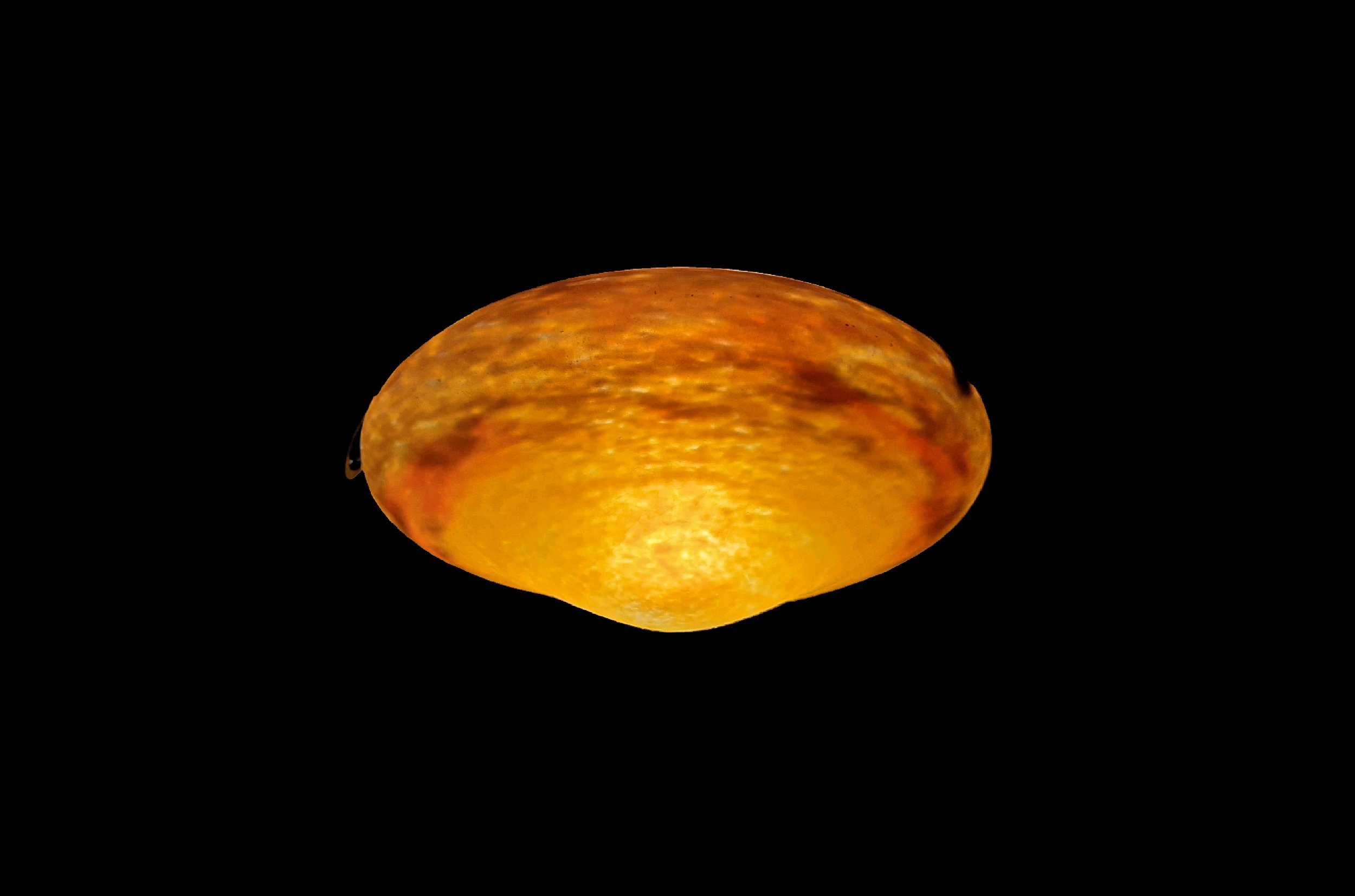 2777b6b.jpg