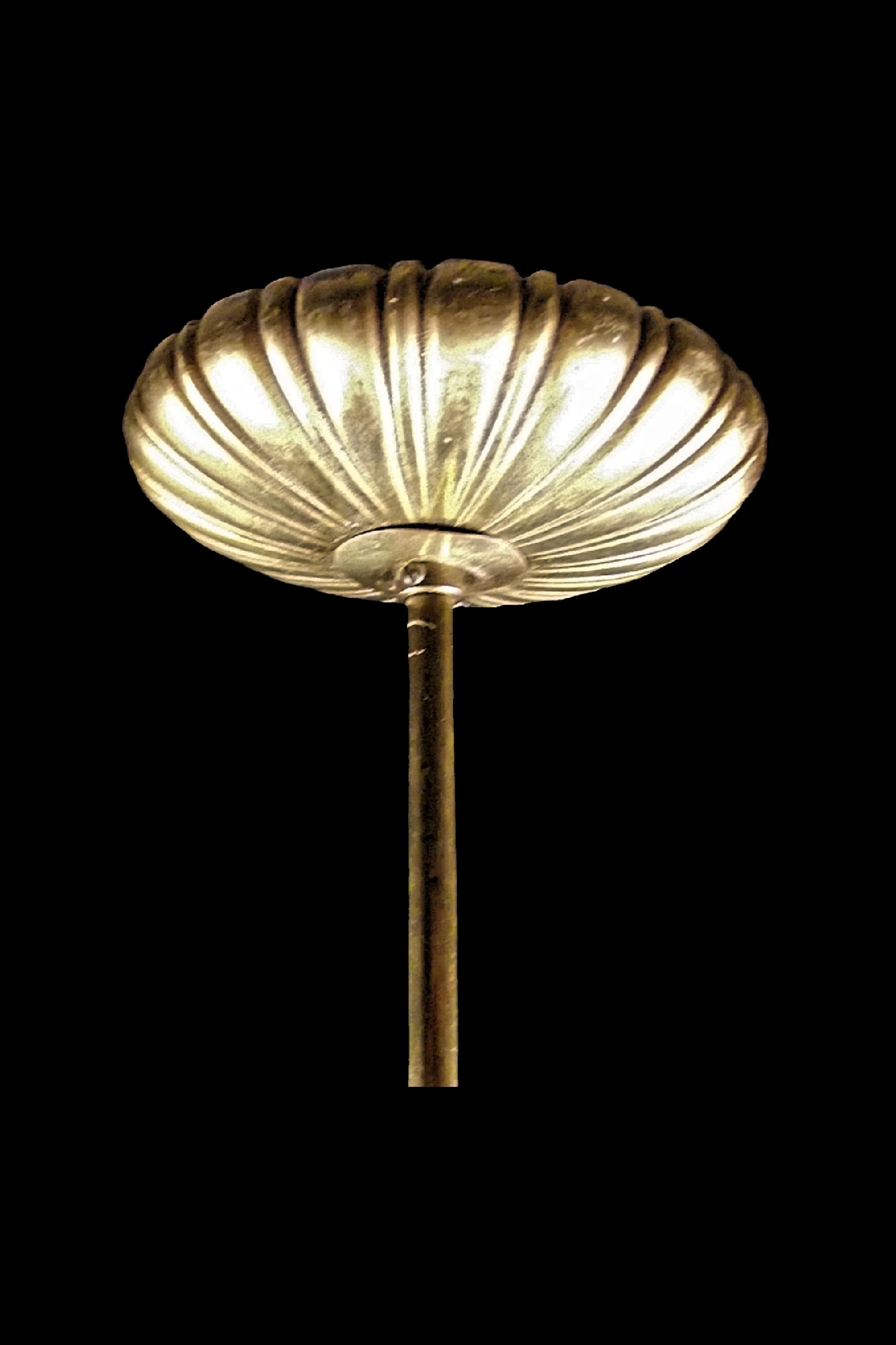 2461Bc1b.jpg