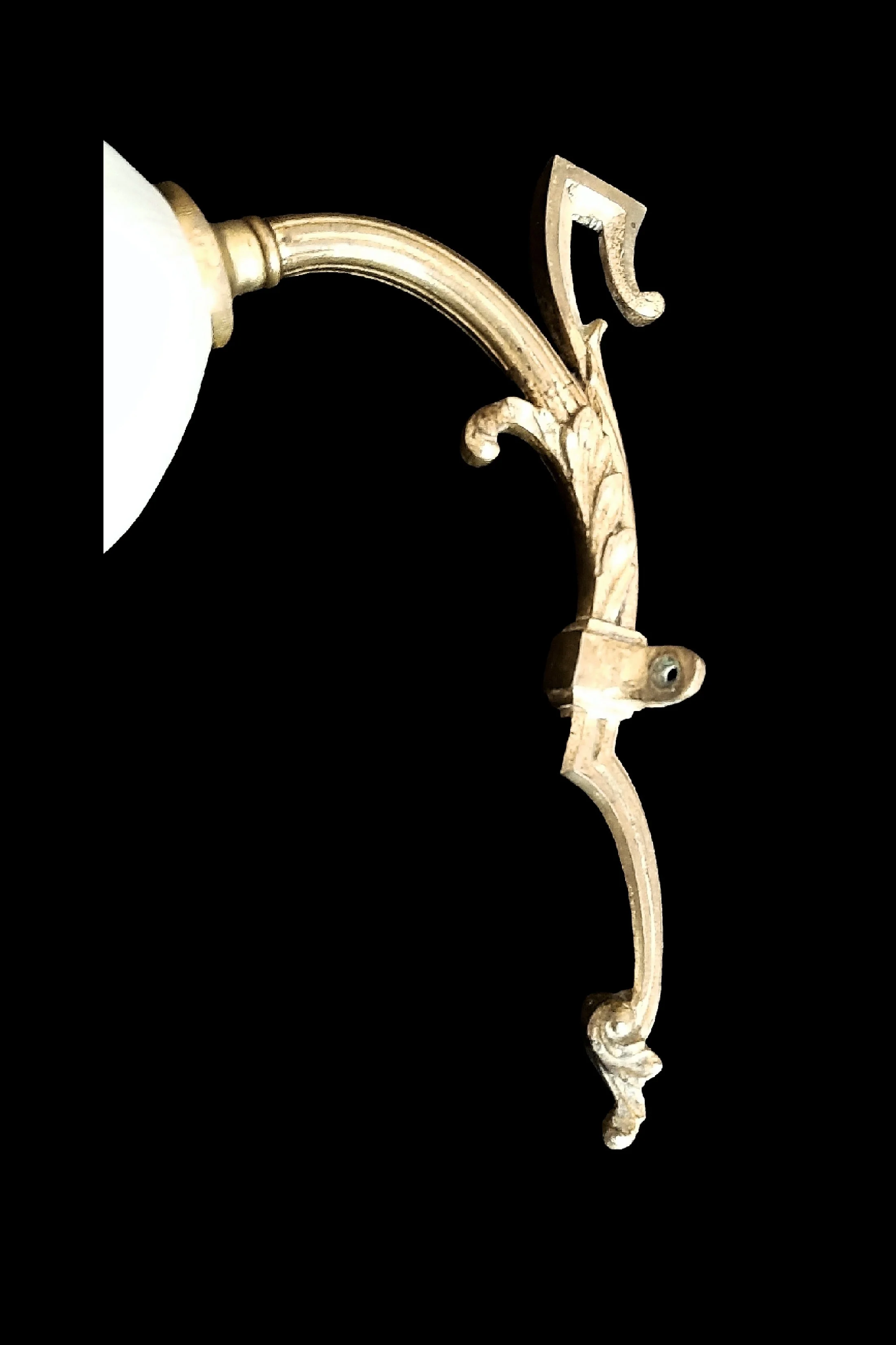 2845d1b.jpg