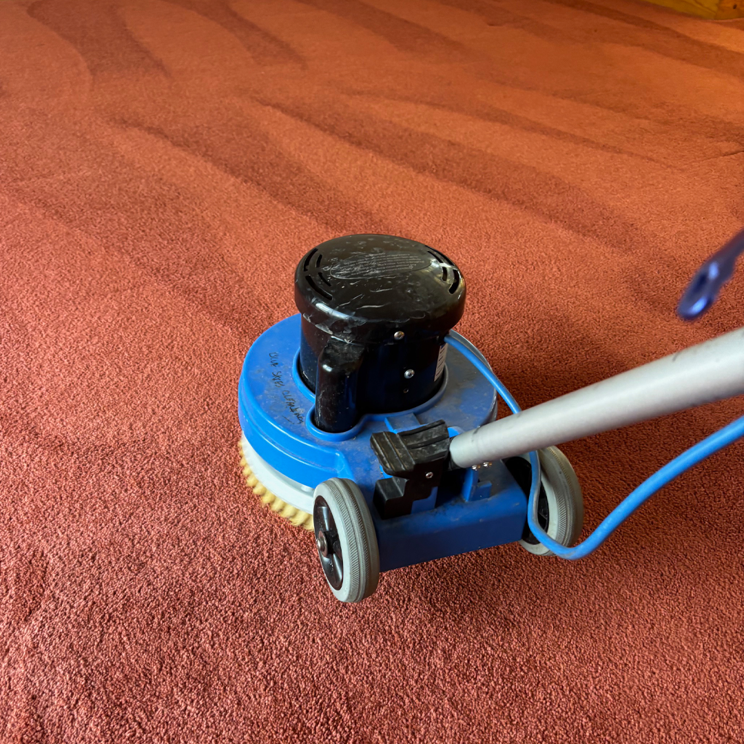 Woodland Park Co Carpet Cleaning