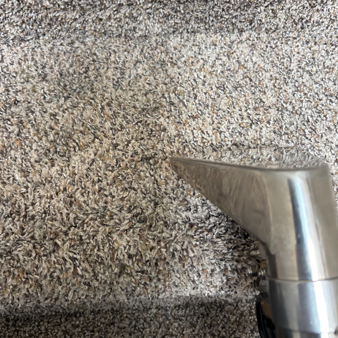 Premier Carpet Cleaning, Woodland Park Colorado
