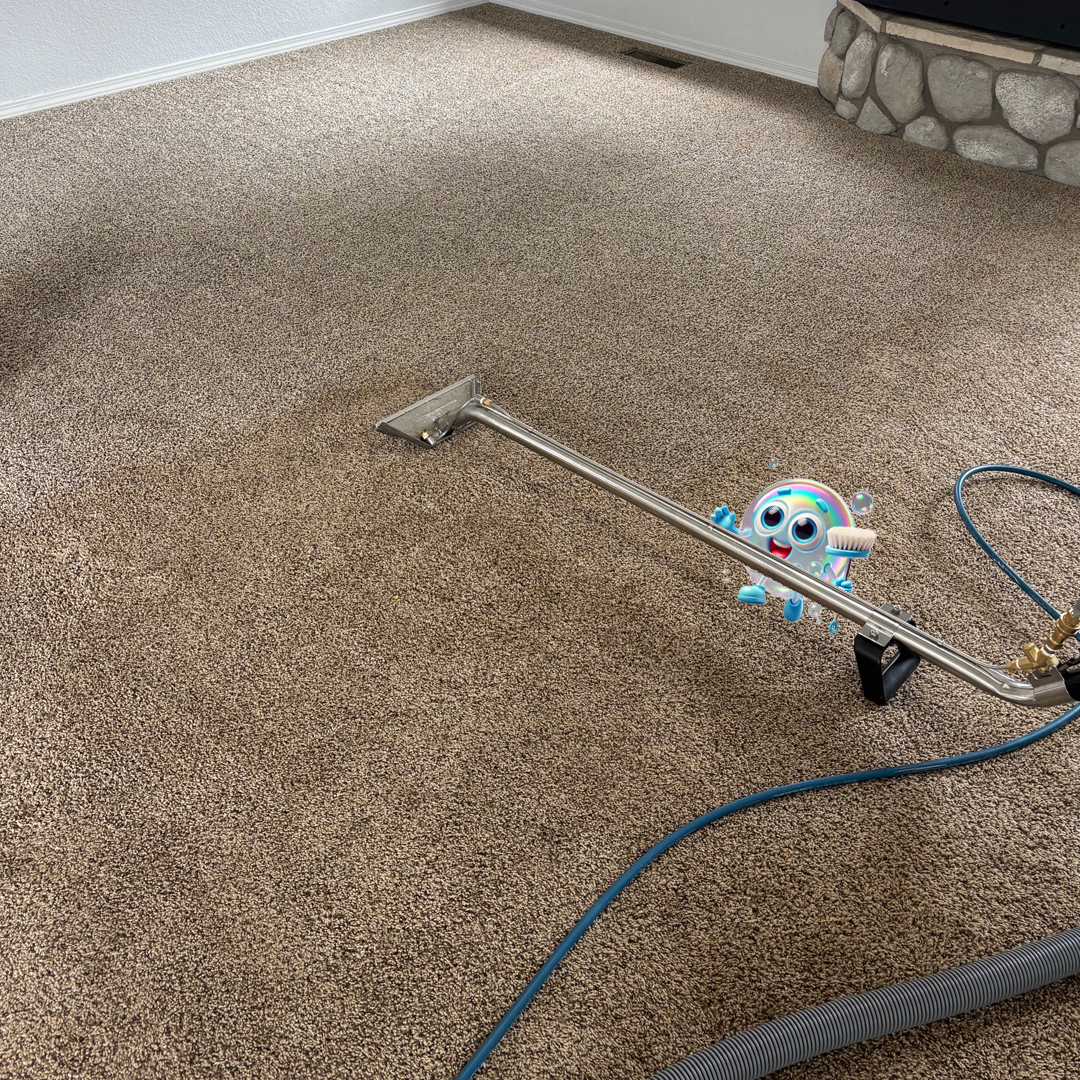 Carpet Cleaning Woodland Park