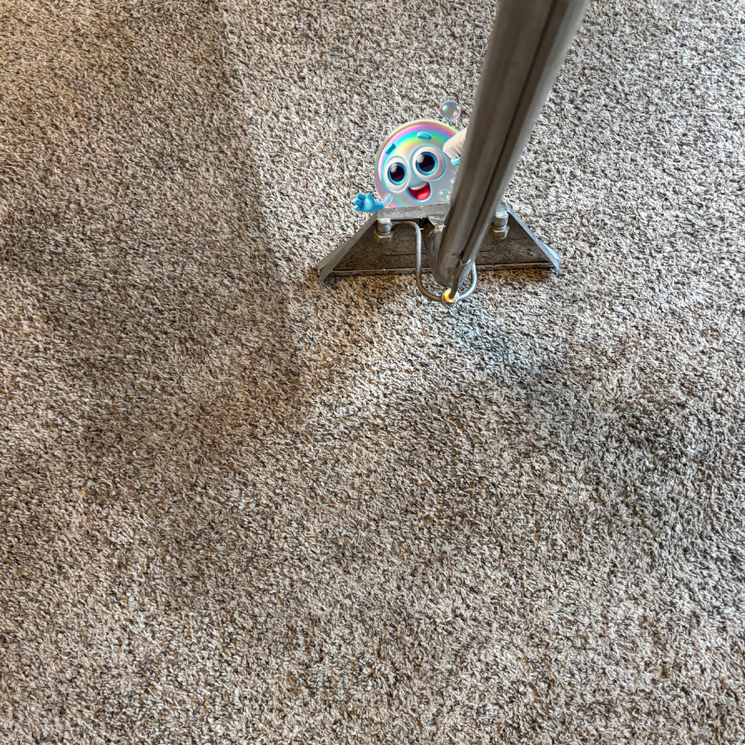 Carpet Cleaning Service, Woodland Park Colorado
