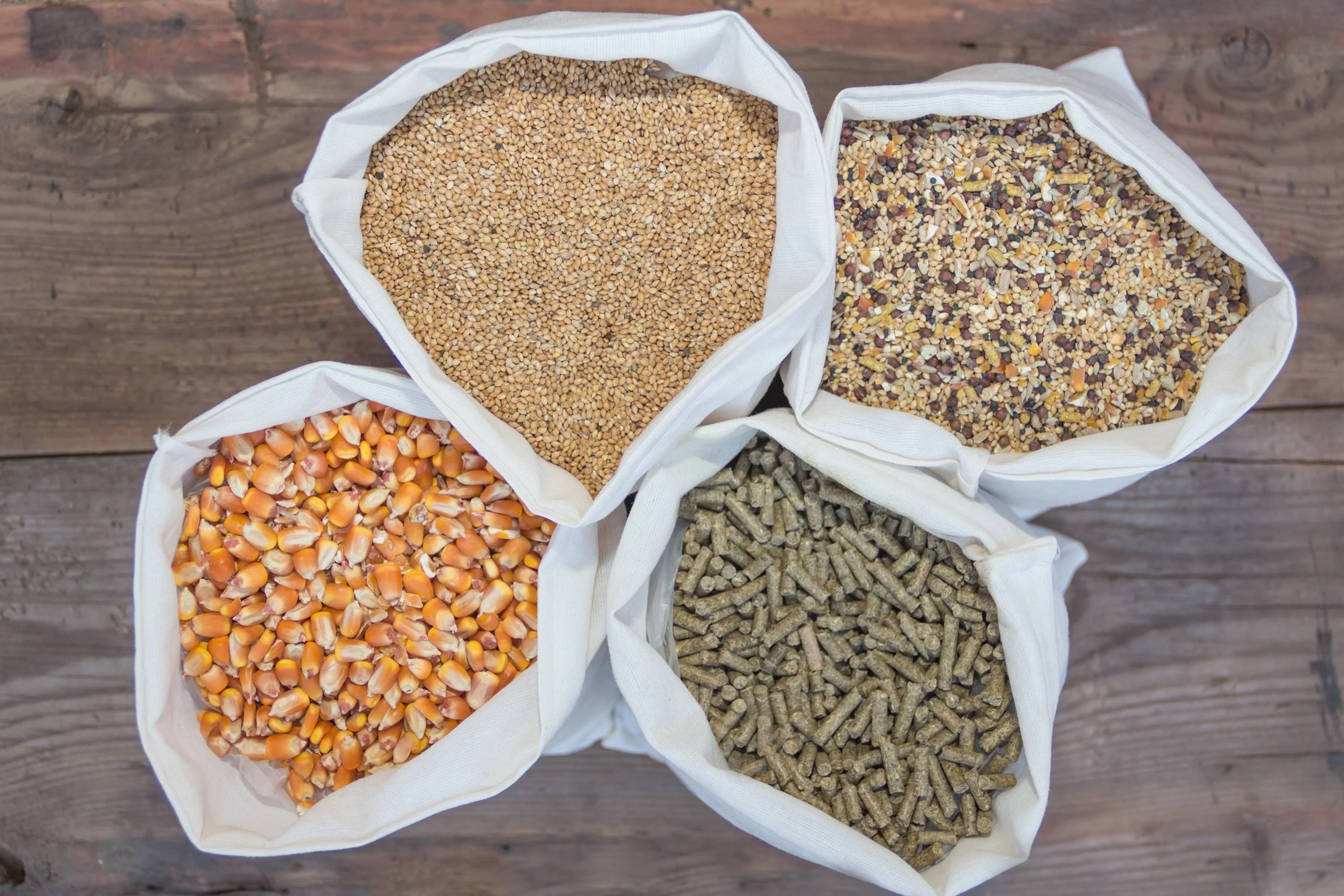 Bag of Animal Feed