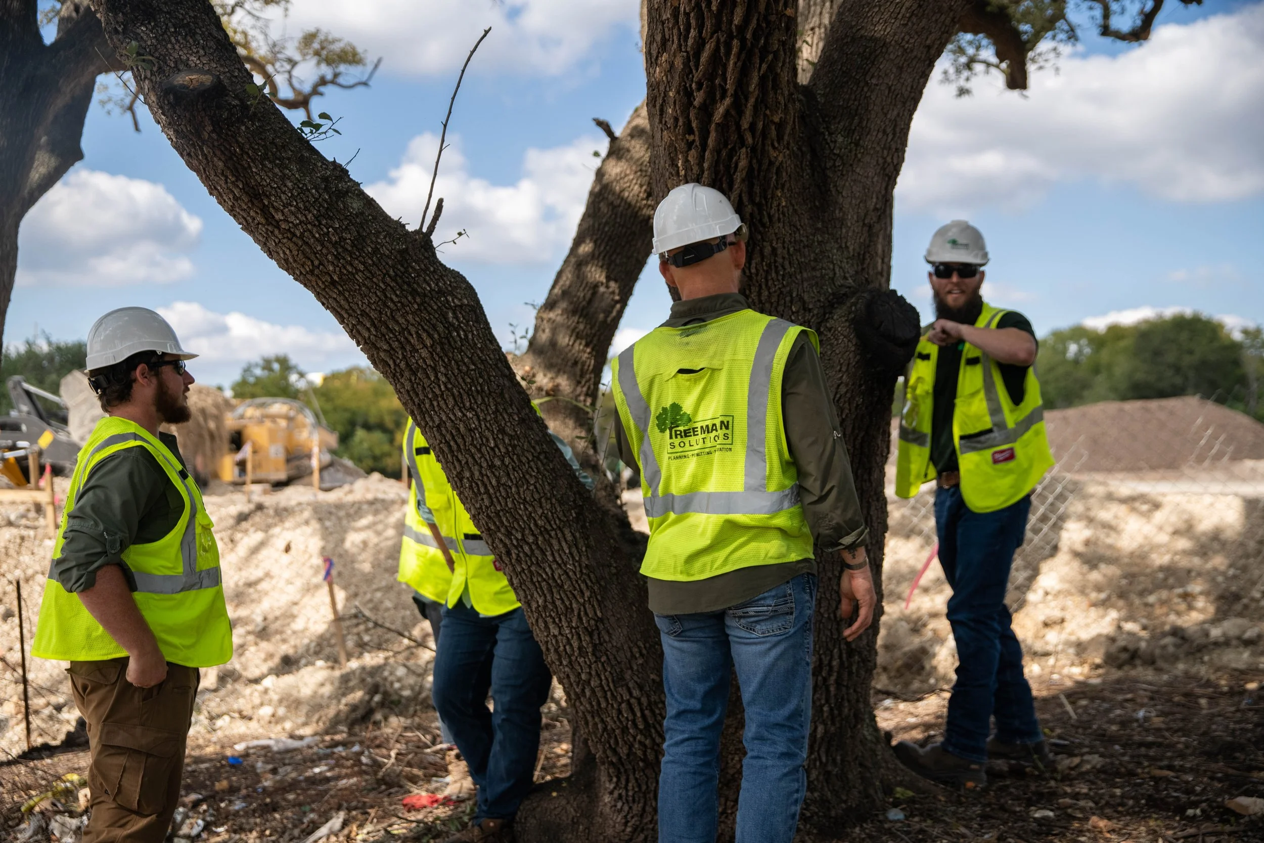 Tree Mann Tree Mann Solutions | Site Development Tree Consulting in Austin, Texas.