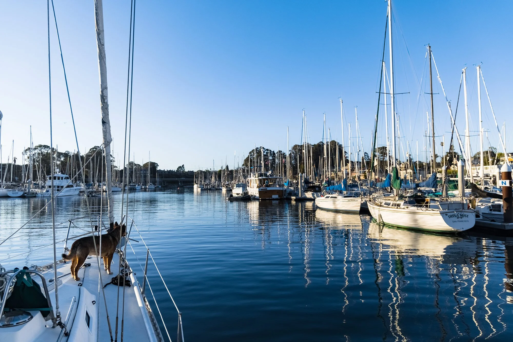 sailing-on-songline_HAW_1550_RyanChachiCraig_220703.jpg