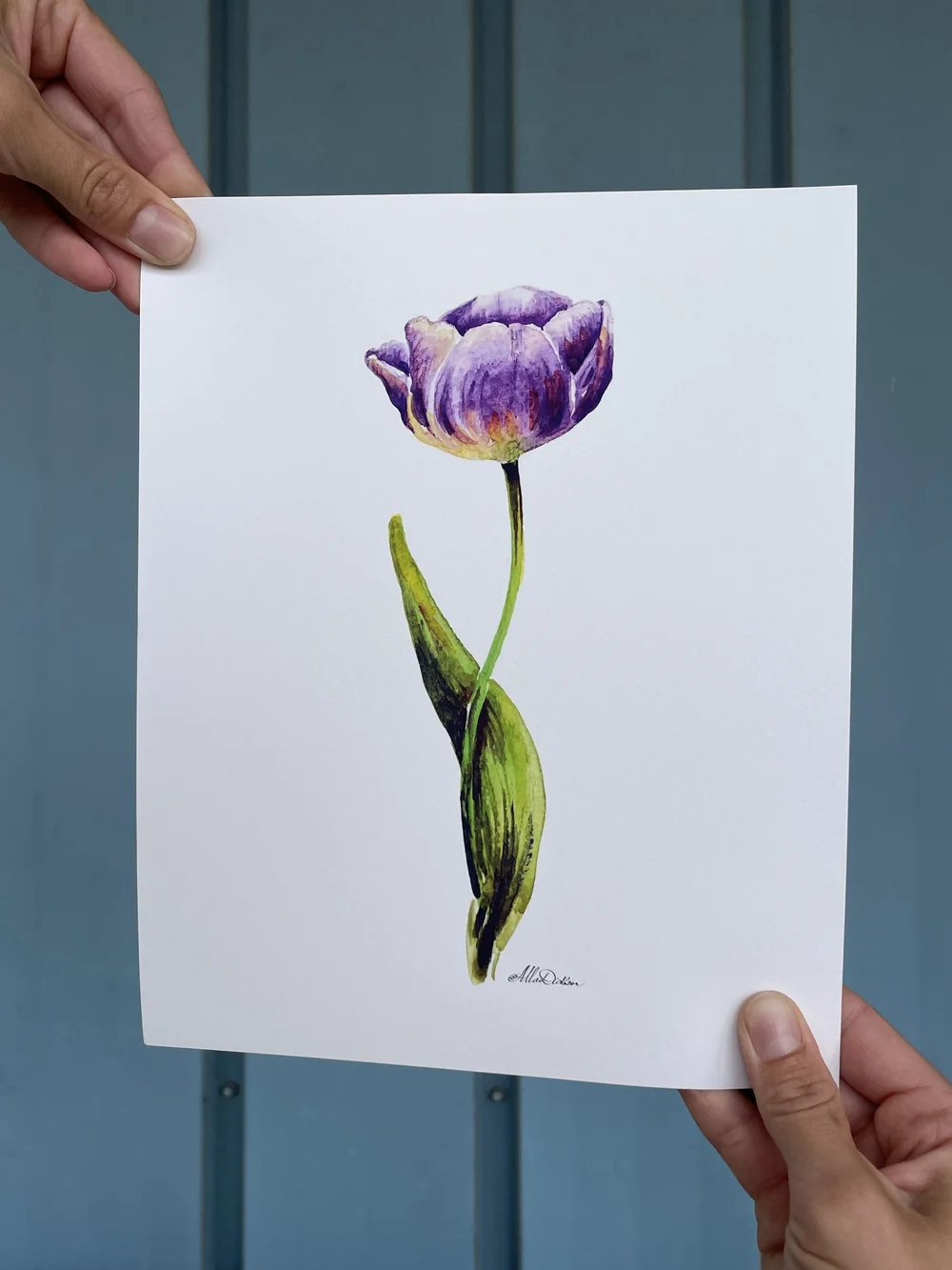 Tulip Art Print Peach Color Flower Watercolor Tulip Art Print