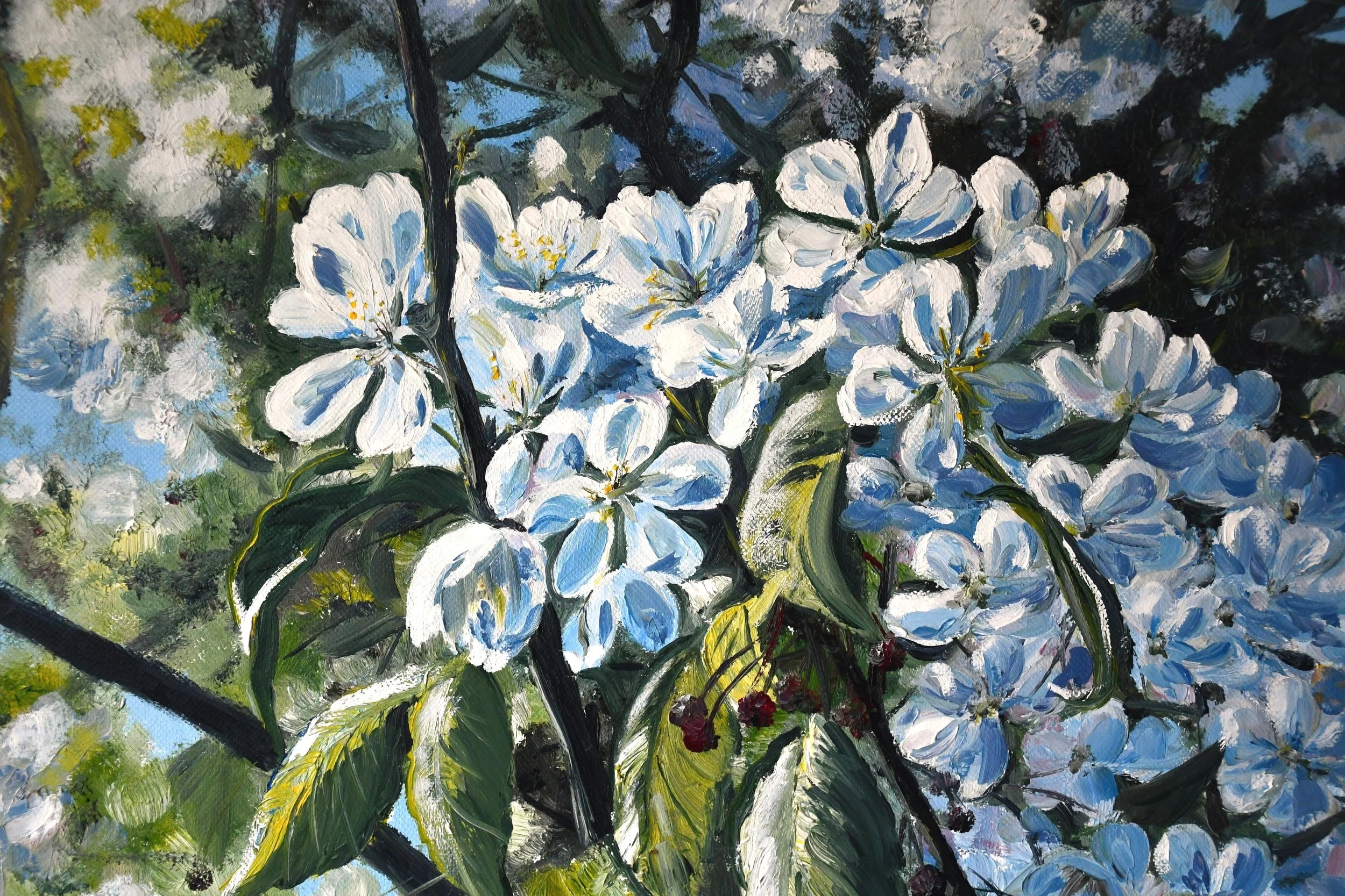 AppleBlossom1.jpg