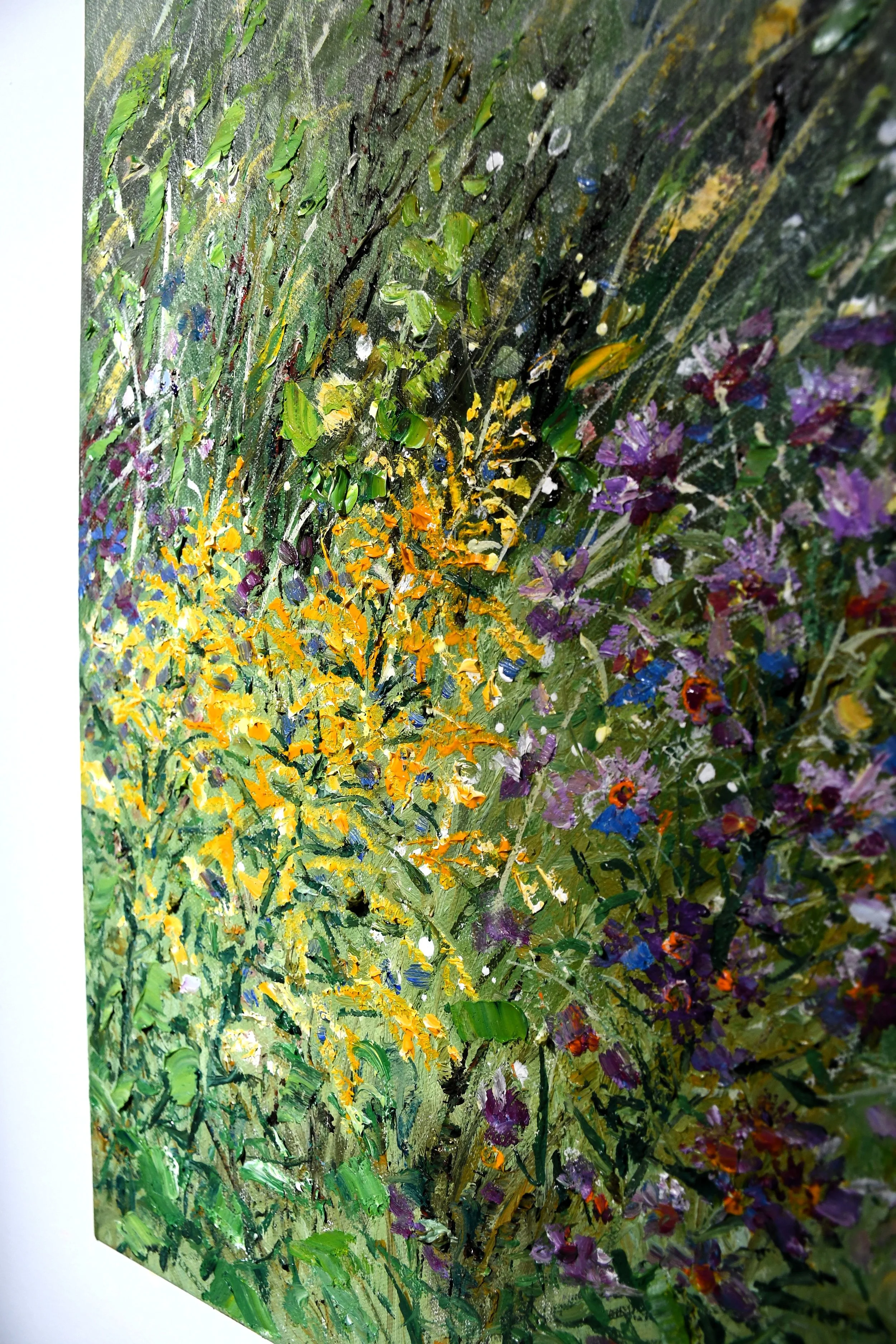 48.Goldenrod and New England Asters7.JPG