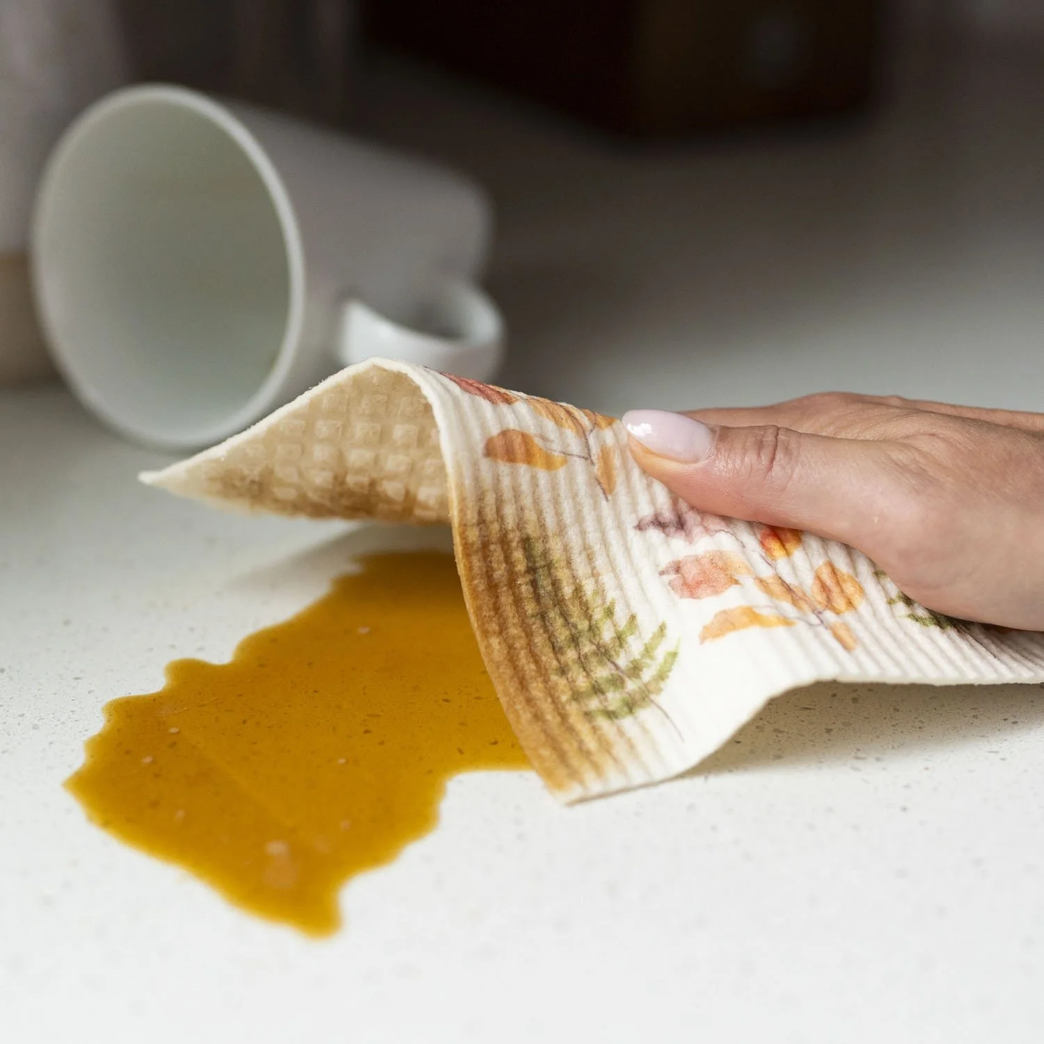 Dishcloths_641_resize.jpg