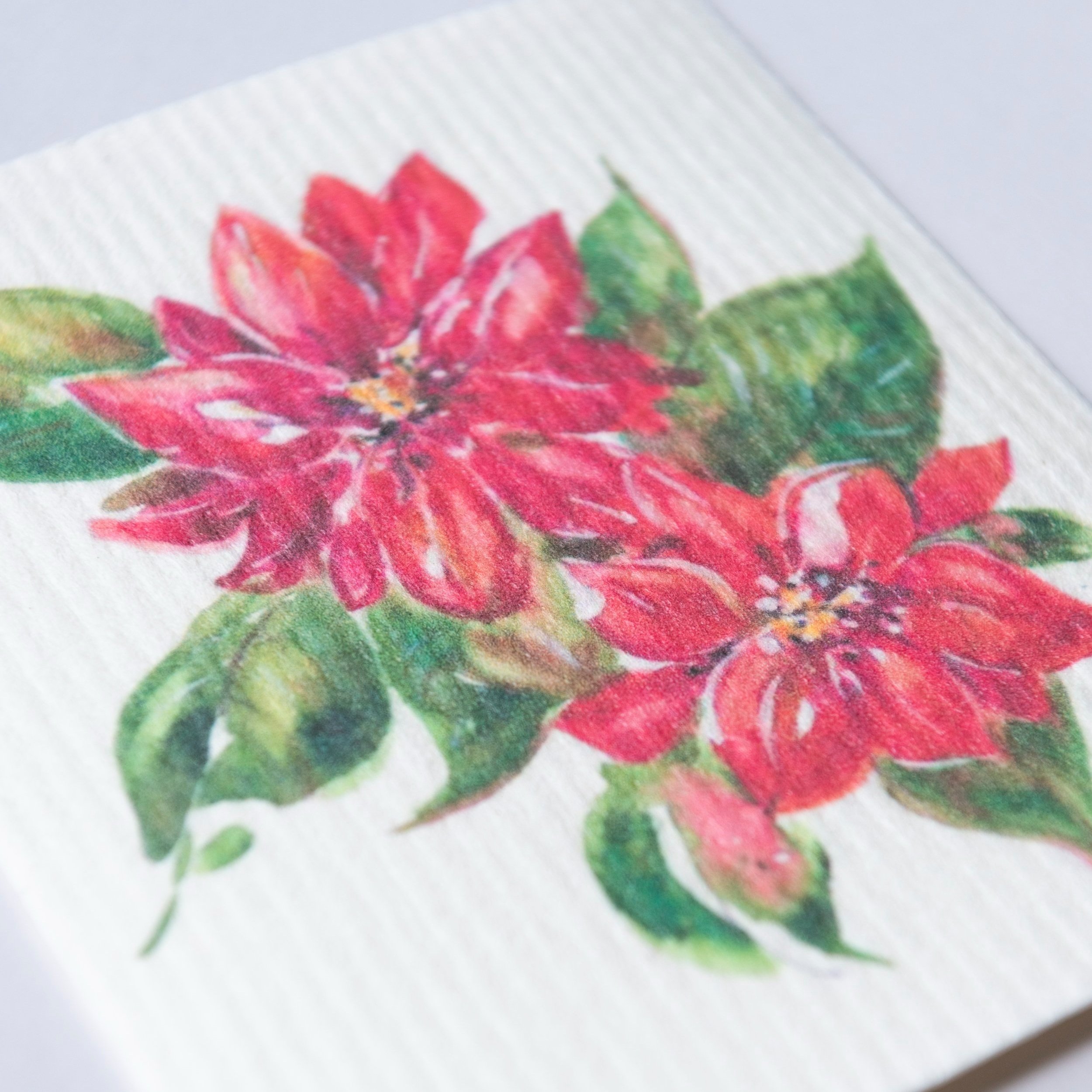 Dishcloths_199+%281%29.jpg
