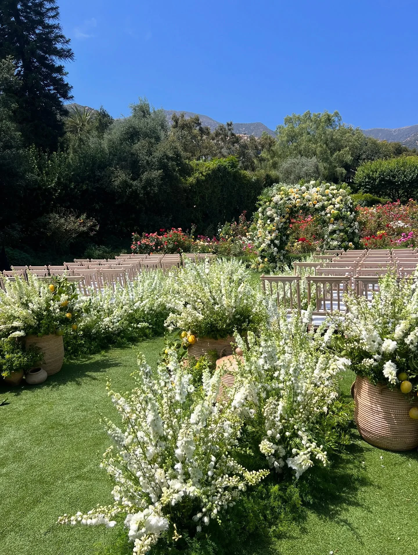 An actual perfect weekend in montecito with the kindest clients, wonderful planner, and rock ⭐️ team. And lots of lemons from @rosestoryfarm 
planning/design: @nicolealexandraweddings 
venue: @sanysidroranchweddings 
rentals: @theonicollection