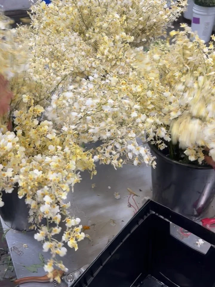 A bit of our wild week in the desert. We worked with some of my favorite palettes- yellow and lavender, rust/burgundy/mustard, ochre and chocolate. Fuzzy textures! 

In awe of @lyndenlane and their immense talent and professionalism from start to fin