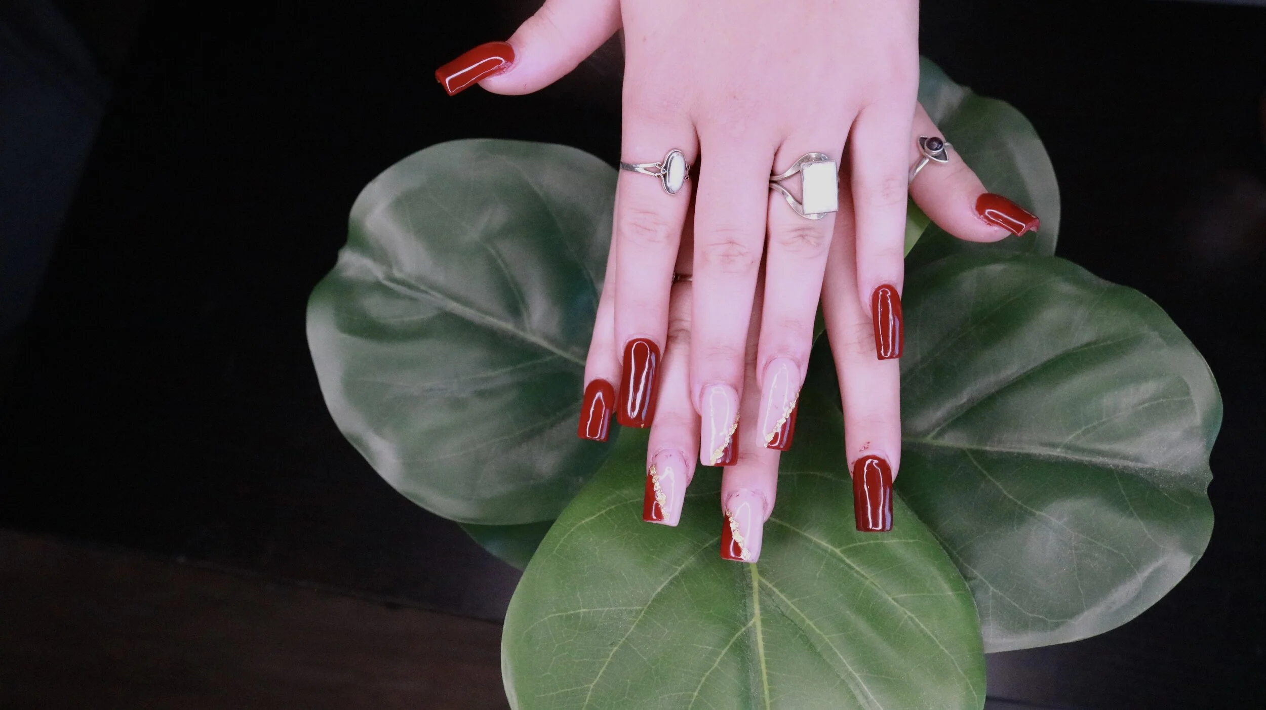 Newberry School of Beauty