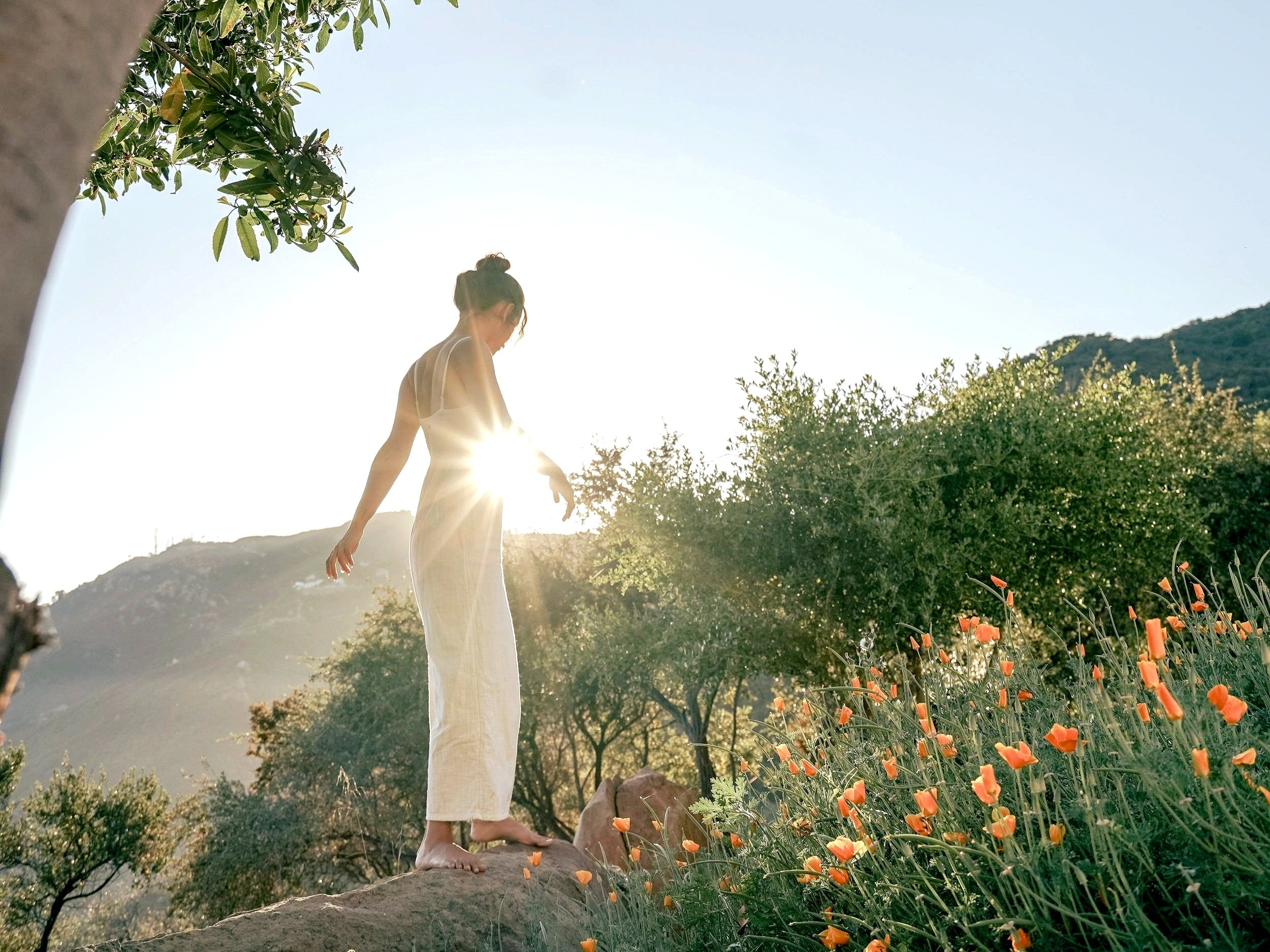 The Art of Embodied Wisdom
