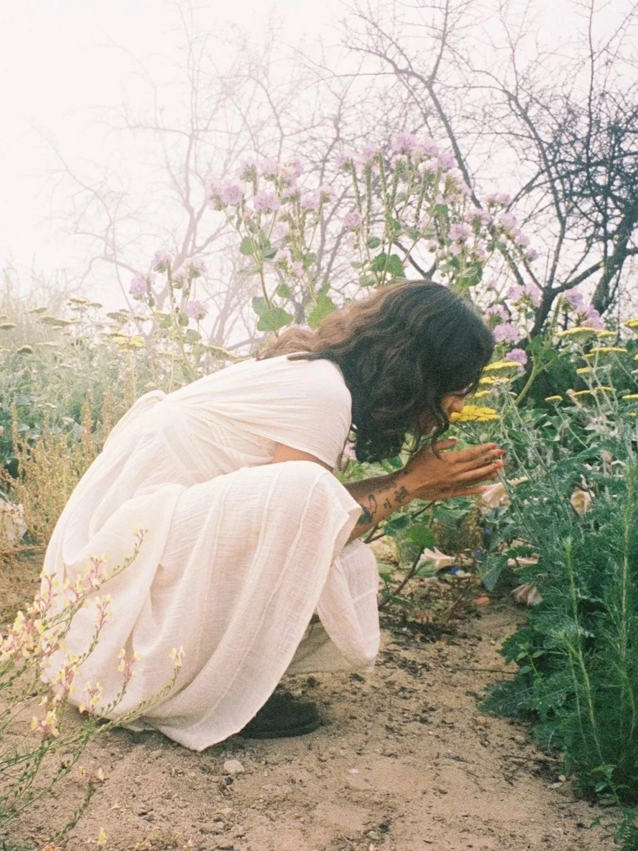 Native Plants + the Practice of Belonging ~ March 29th