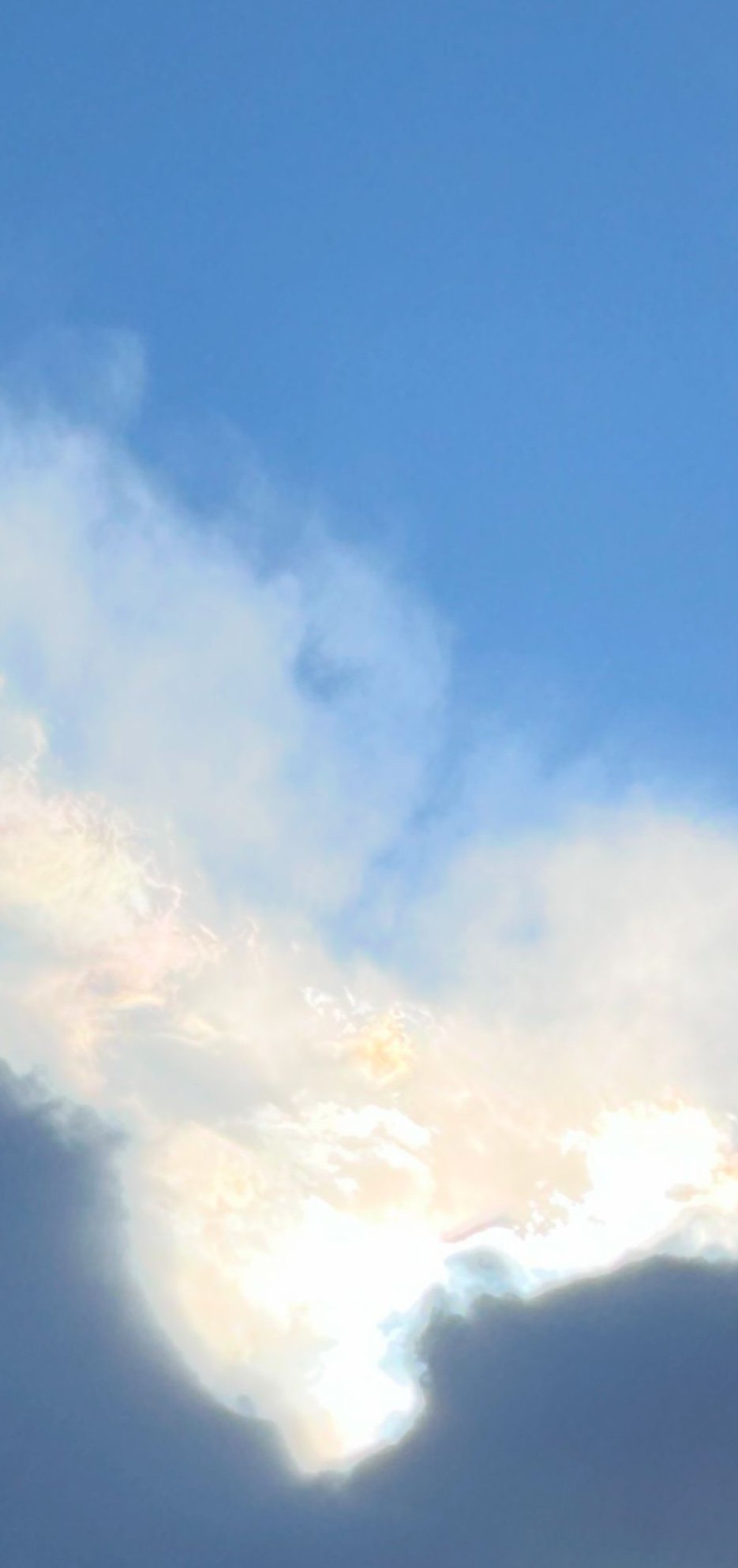 Anthony Baussy: This Could Be the Last Time