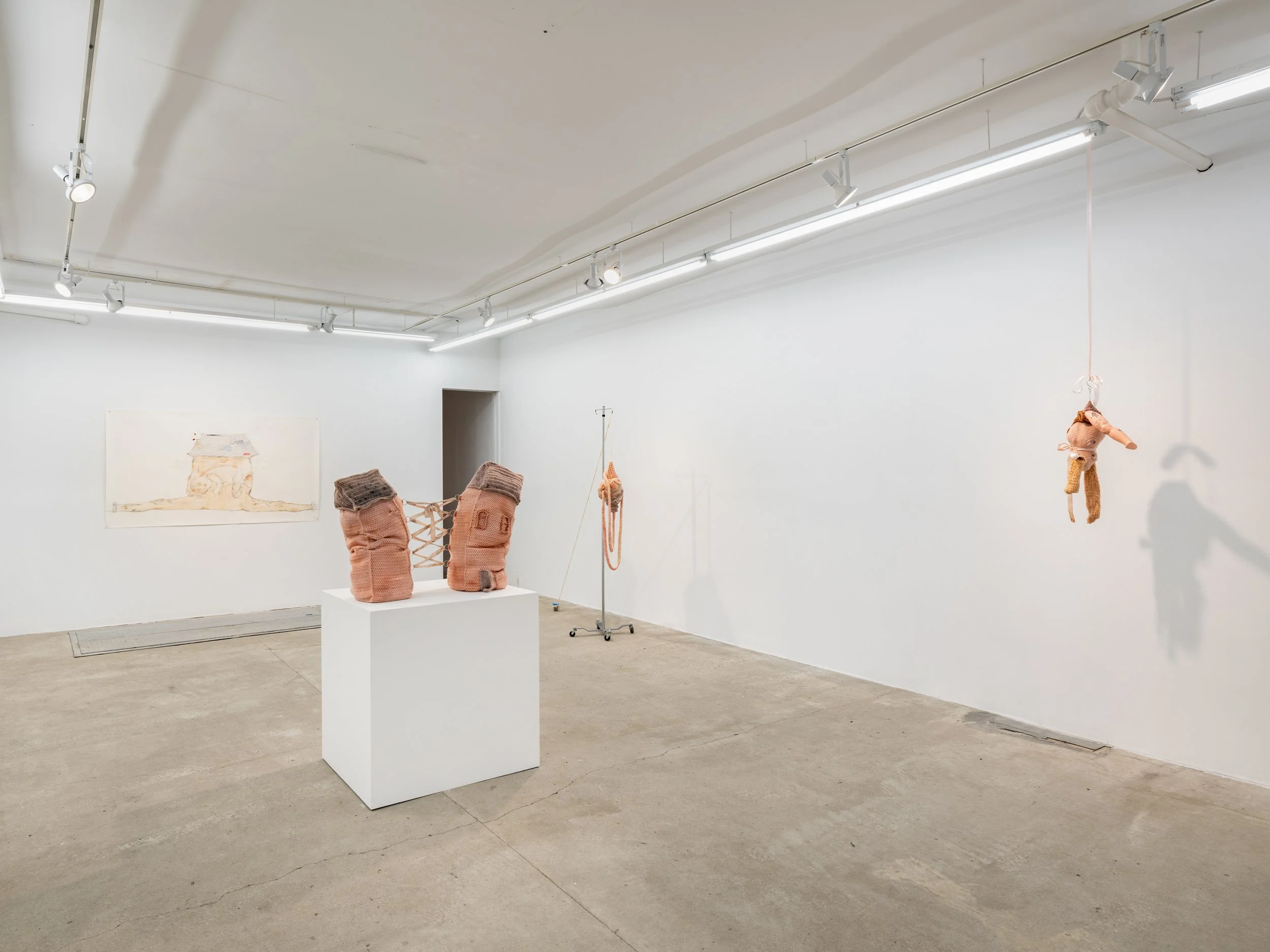 OA InstallsDSCF1786.jpg