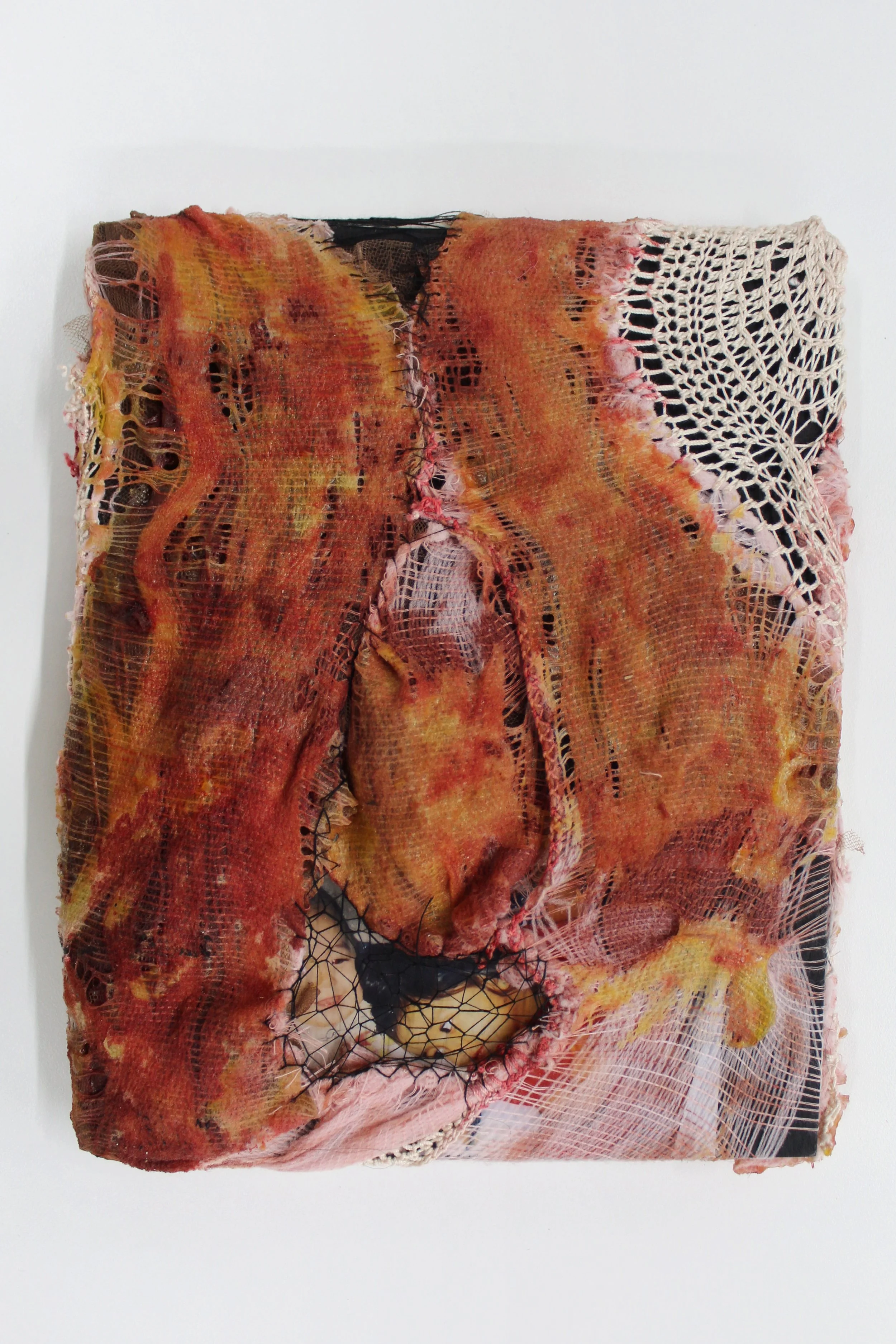 gore (segment), flayed with you