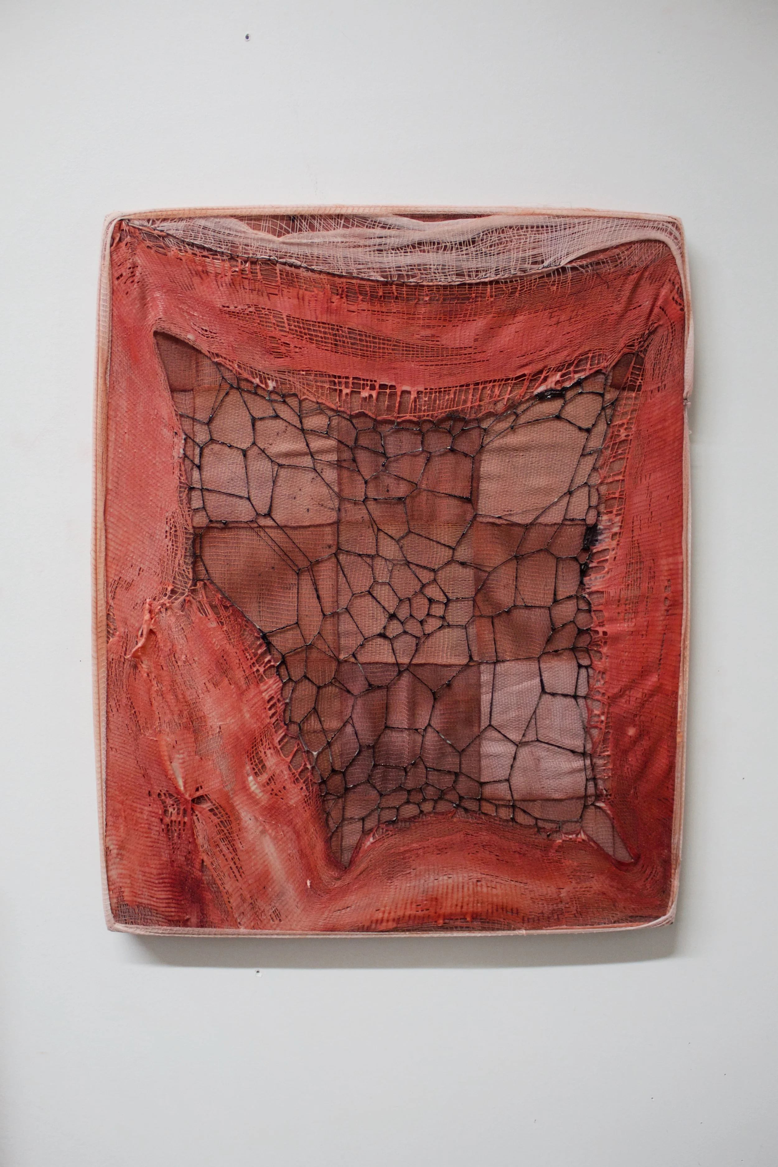gauze web VI