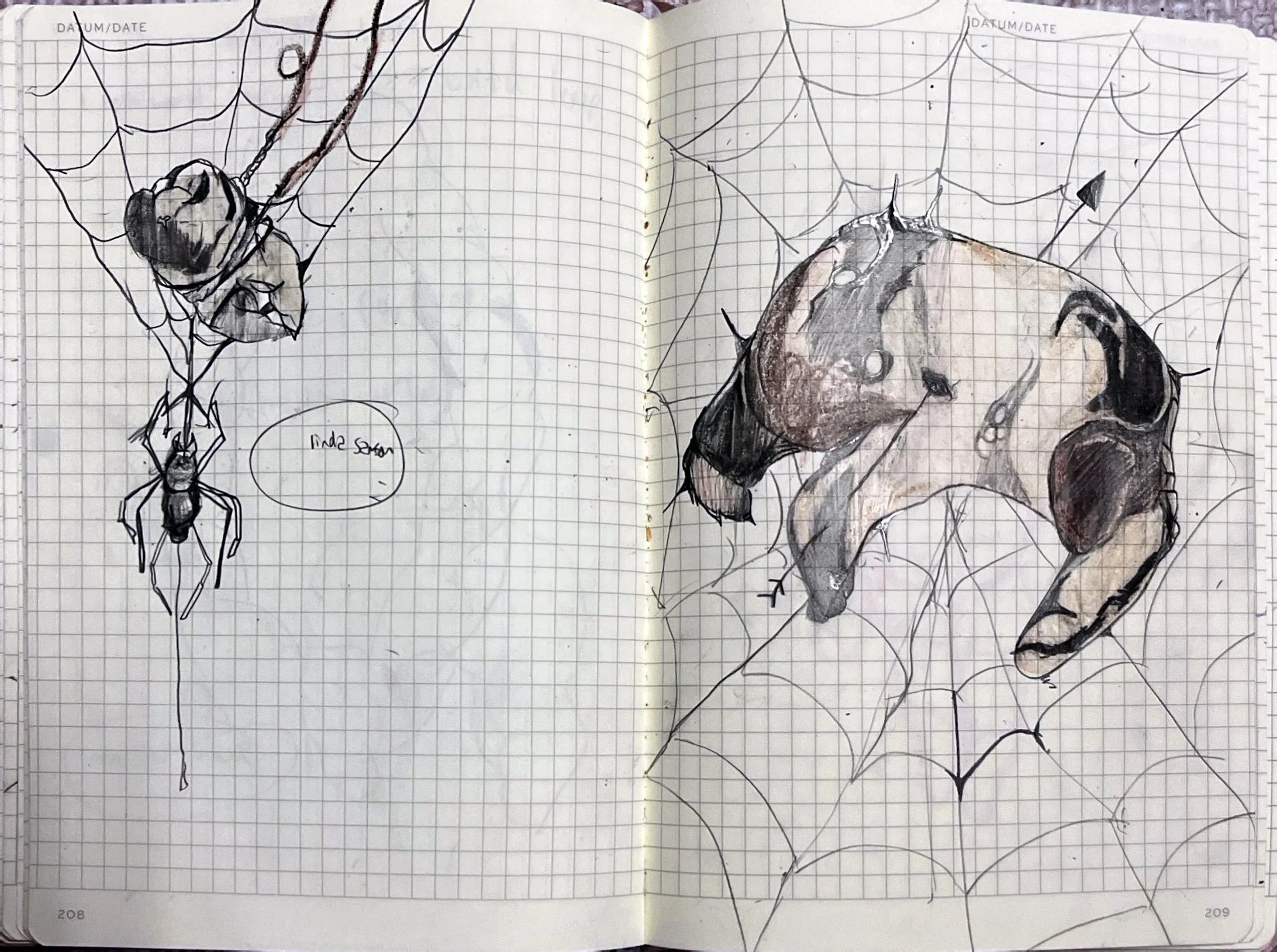 Summer 2024 sketchbook page 18.jpeg