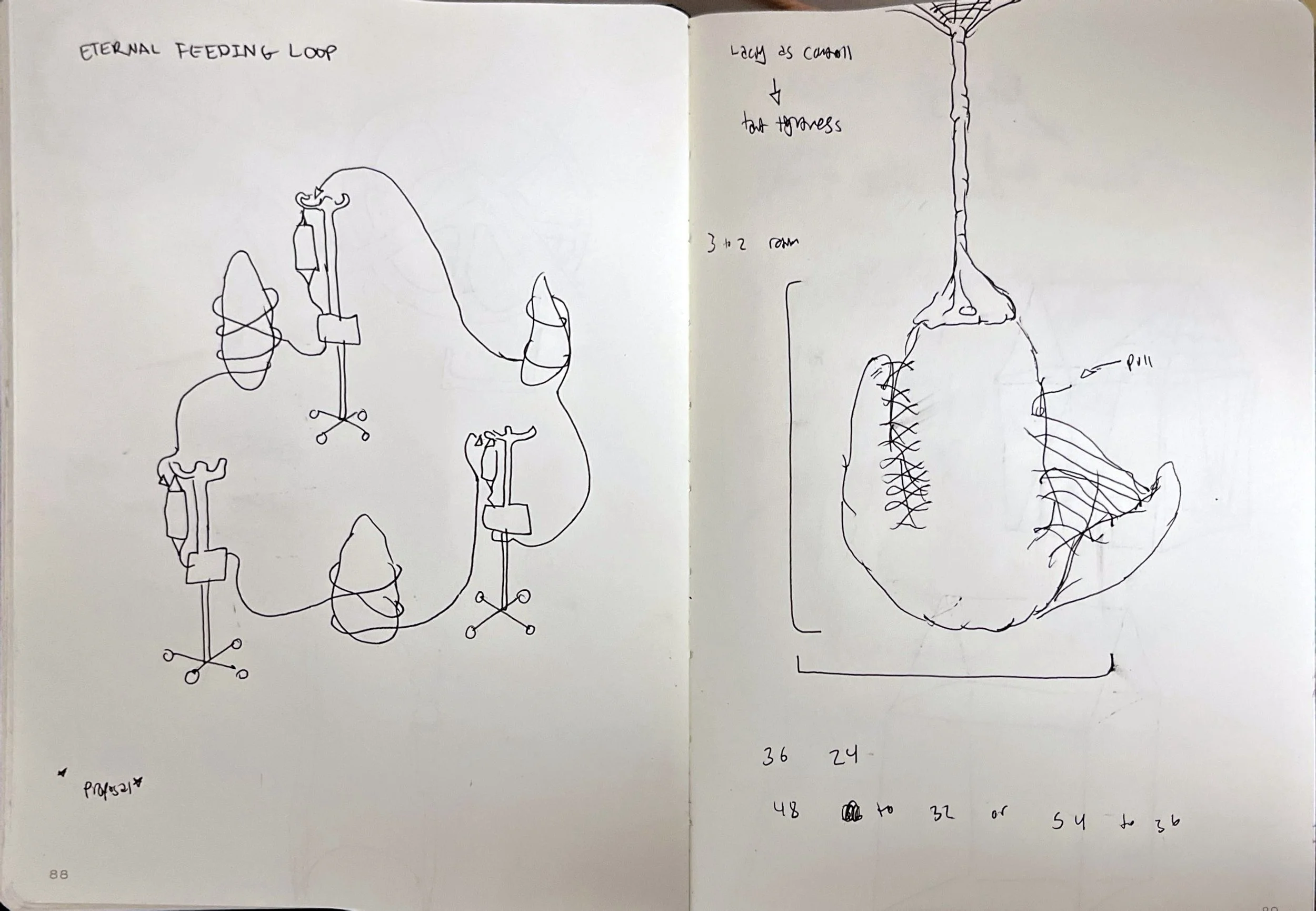 8-24- current page 12.jpeg