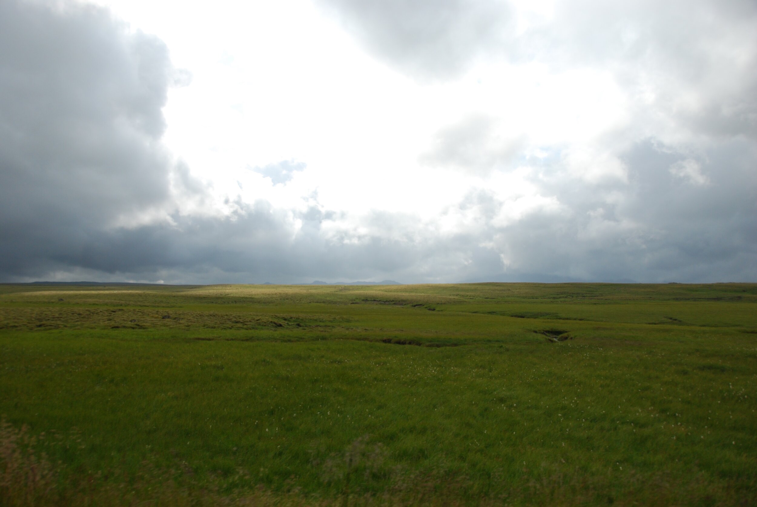 DSC_6246.jpg