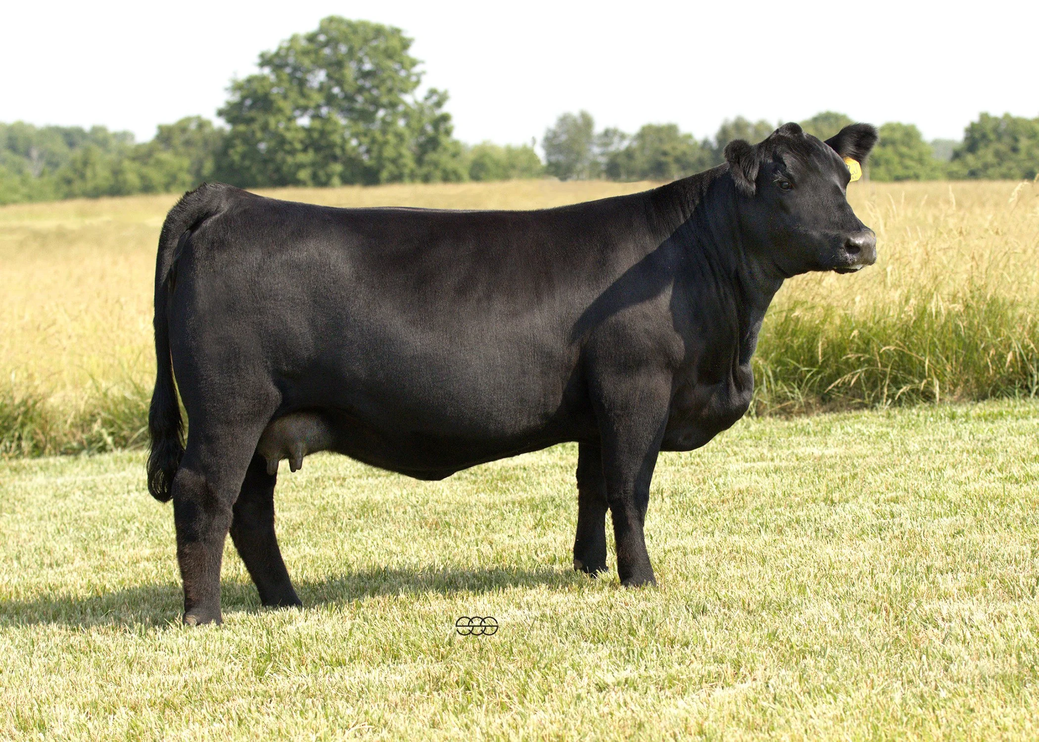 Jillian 012J 6-10-2023 final jpg 5 x 7 300 dpi.jpg