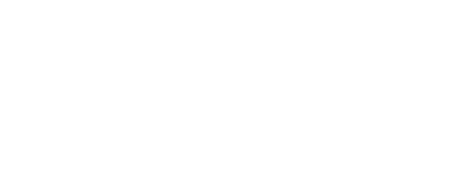 Kaleidoscope Statistics Veterinary Medical Research Consulting