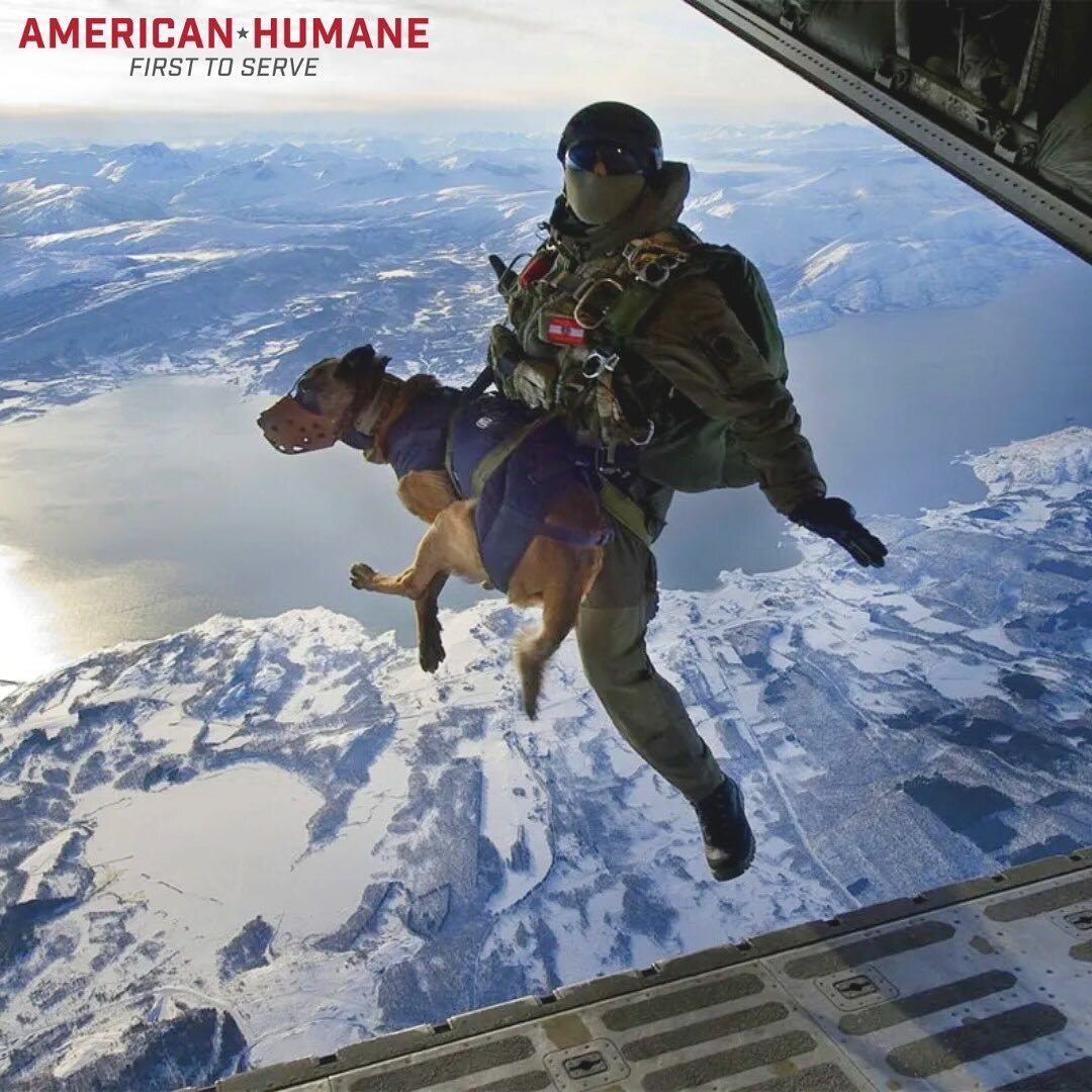 Repost from @herodogawards
&bull;
Did you know Military Working Dogs parachute out of planes? These remarkable canines can jump alone, equipped with their own parachutes, or in tandem with their trainers to provide support and aid to stranded soldier