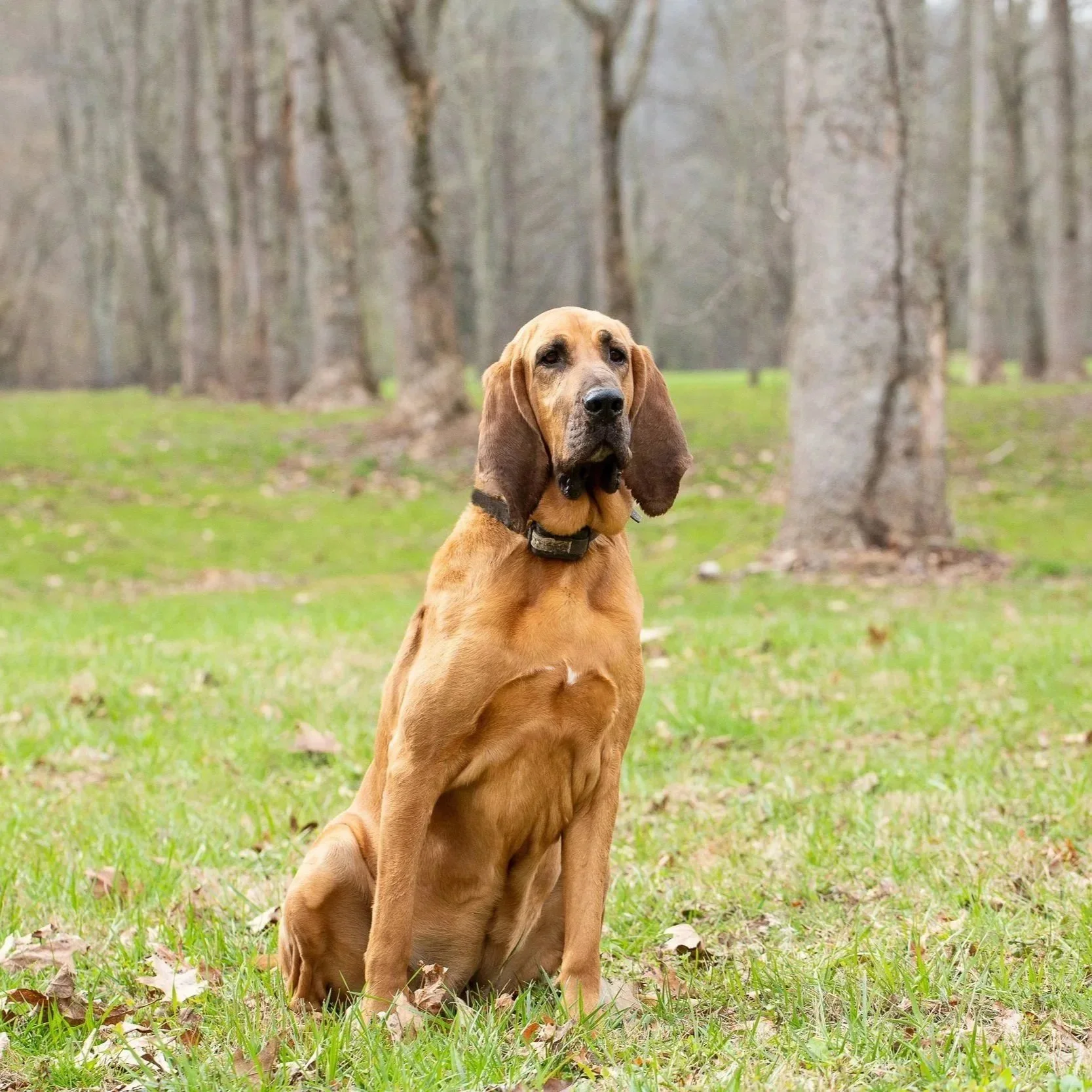 Josey%252BL16-25.jpg