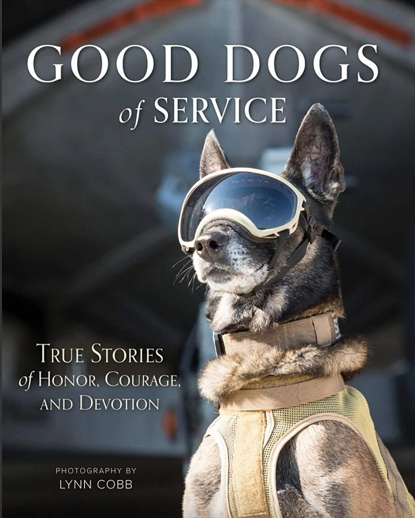 Good Dogs of Service books on sale now! 

🌲Holiday Special: 20% off at checkout with code: GDS20

🐾 Sold only through our website at www.gooddogsofservice.com - link in bio